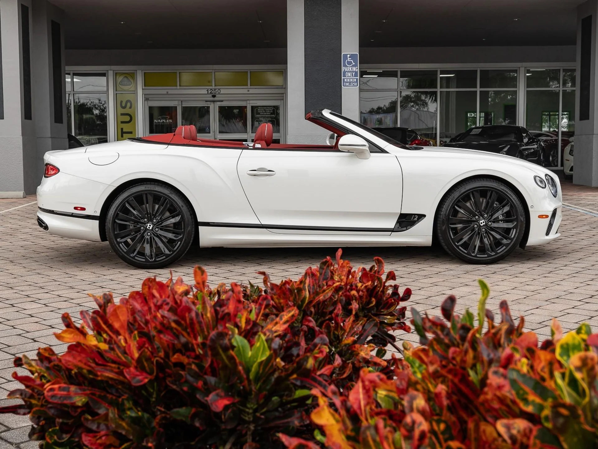 mph032_3580014435_Used_2022_Bentley_Continental_GT_Speed_1763485744_7f4a894ac4