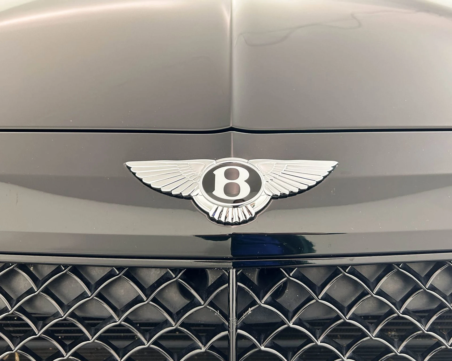 mph032_3622865188_37fd52db461d4896b5c1991b2ffe30f1_5469261547