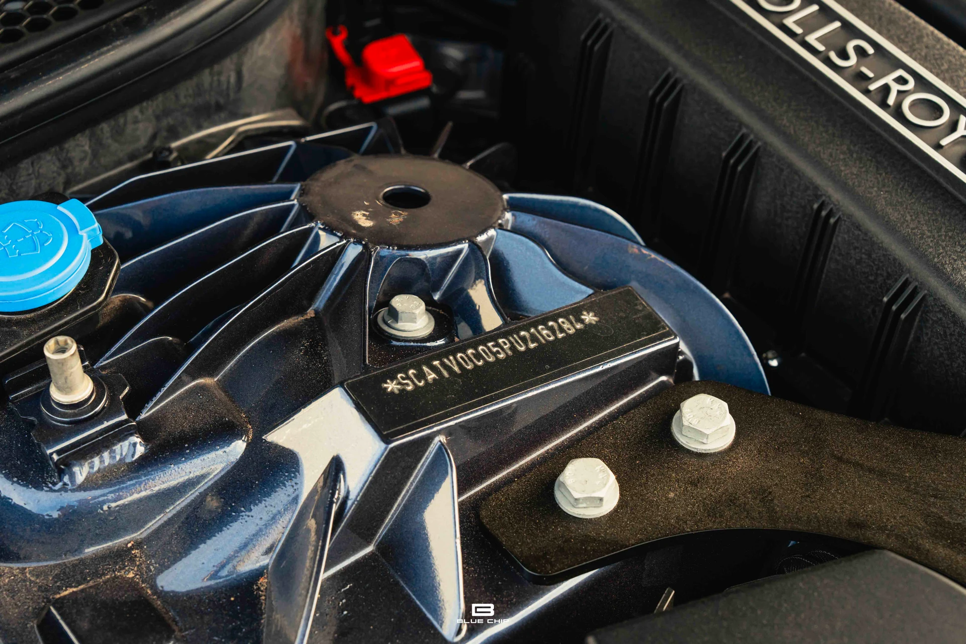 mph032_3738106858_688b80a327c9e9e86b5958ae_DSC_09461_6b0d8c68e4