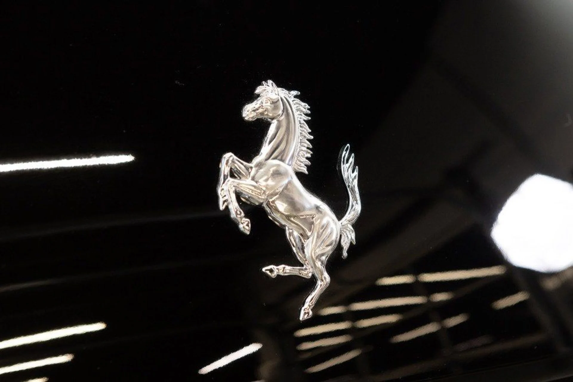 mph032_3862502744_0bf426e5bb04443f901204f40317bea0_20acc52b63