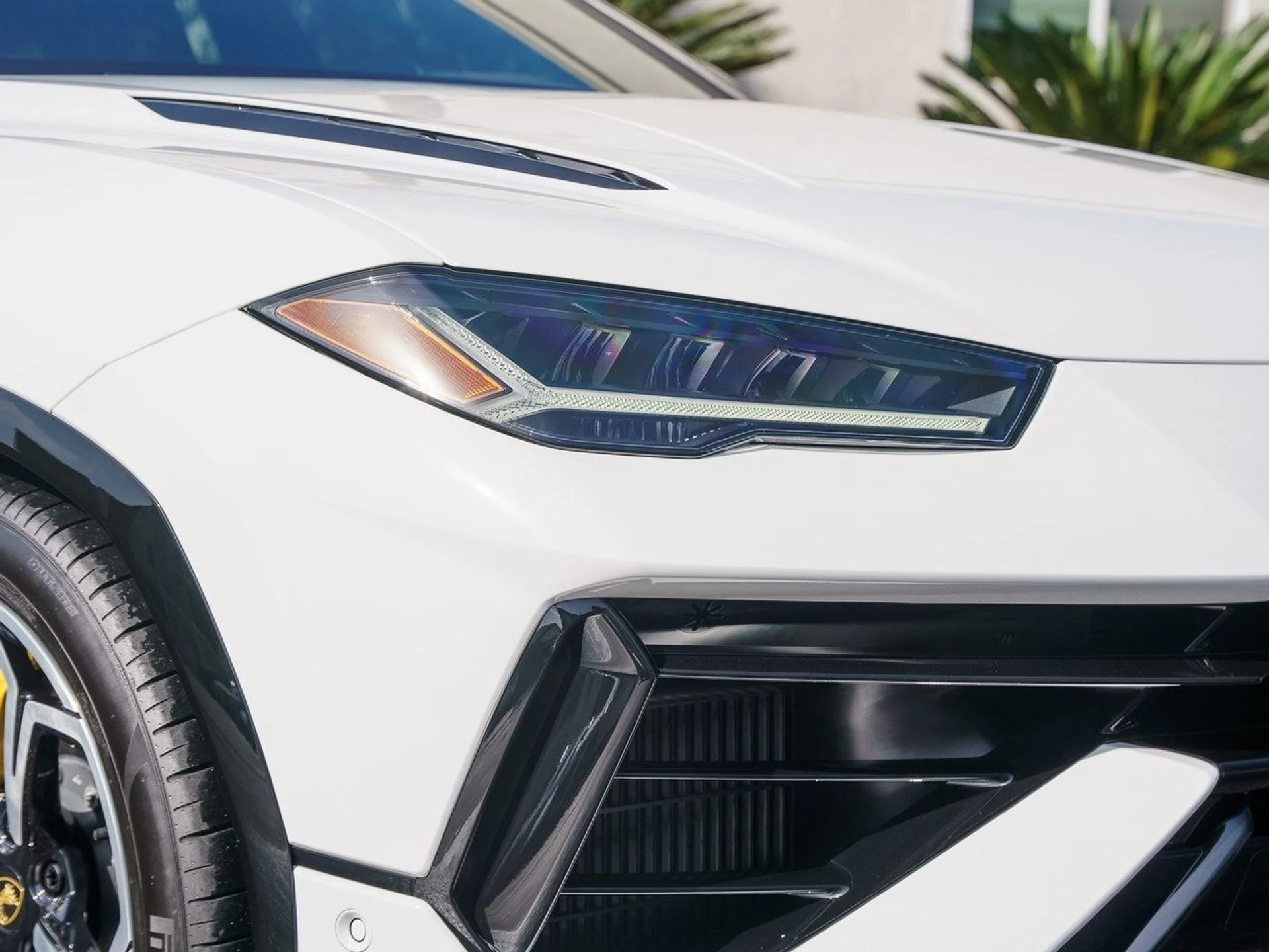 mph032_3895961159_1fed4d4275eeddb06e1dfa16bf9da300x_98d4118e9d