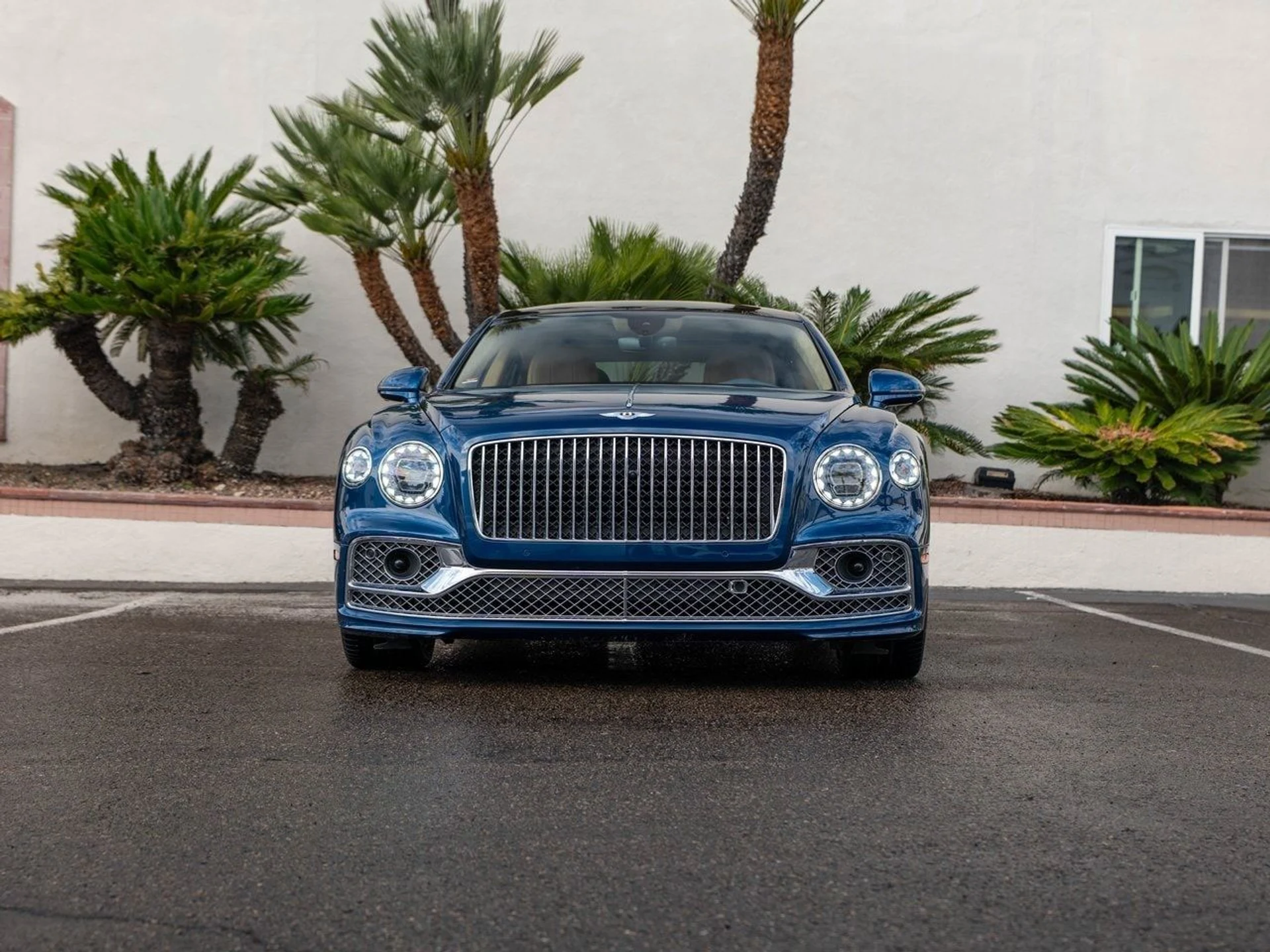 mph032_3928555044_0784d8a5ceebbdfef1f6651fb9e3e711x_f255109b2e