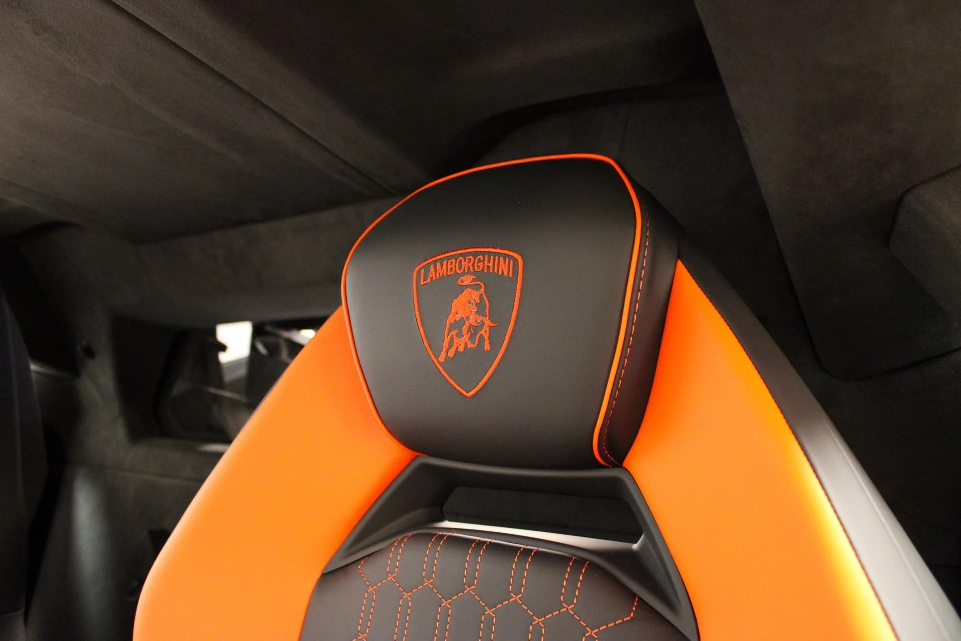 mph032_4168041485_image_32_22c6b0a8f7