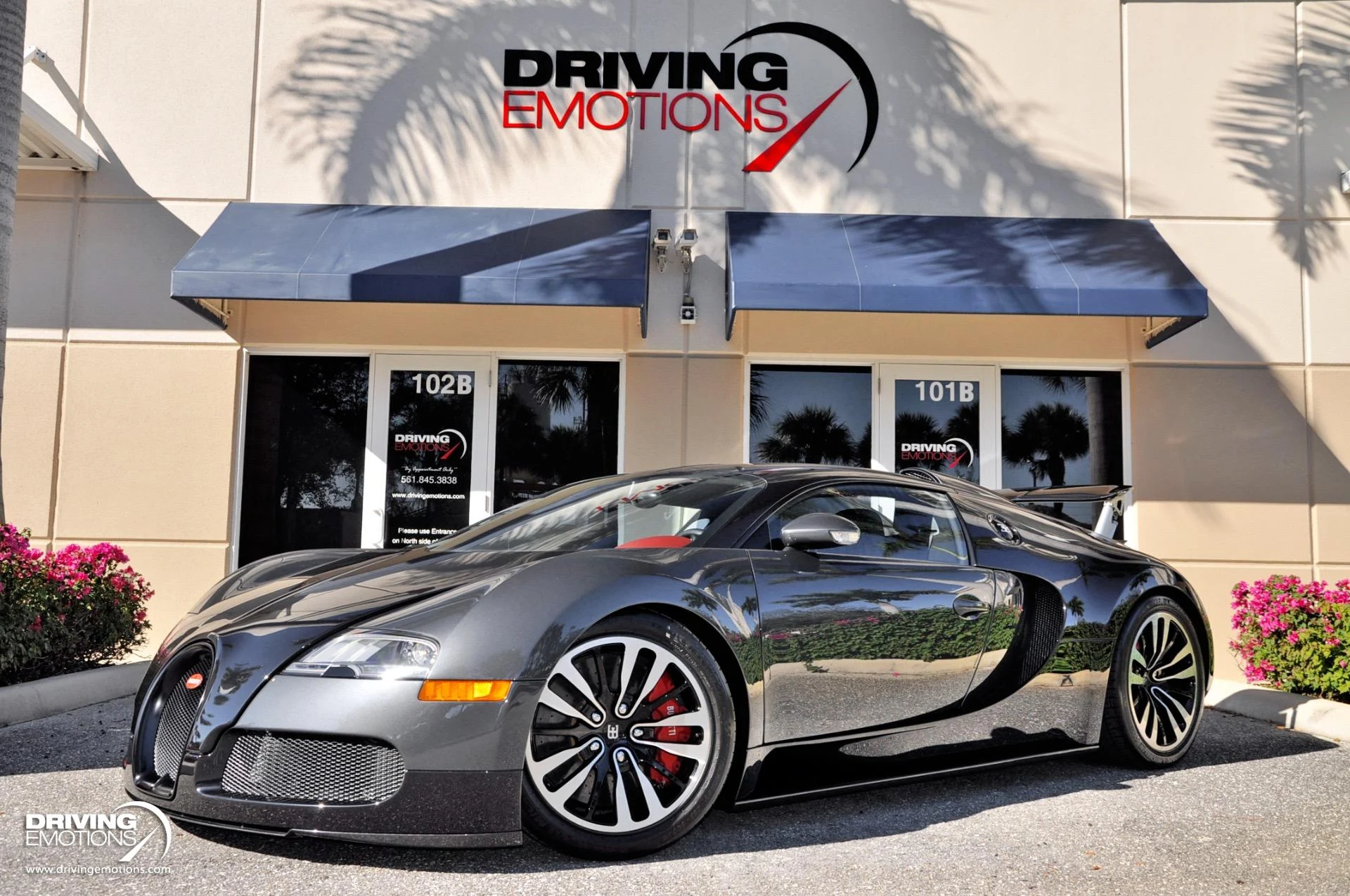 mph032_417402532_479_p33_l_b74f0212b4