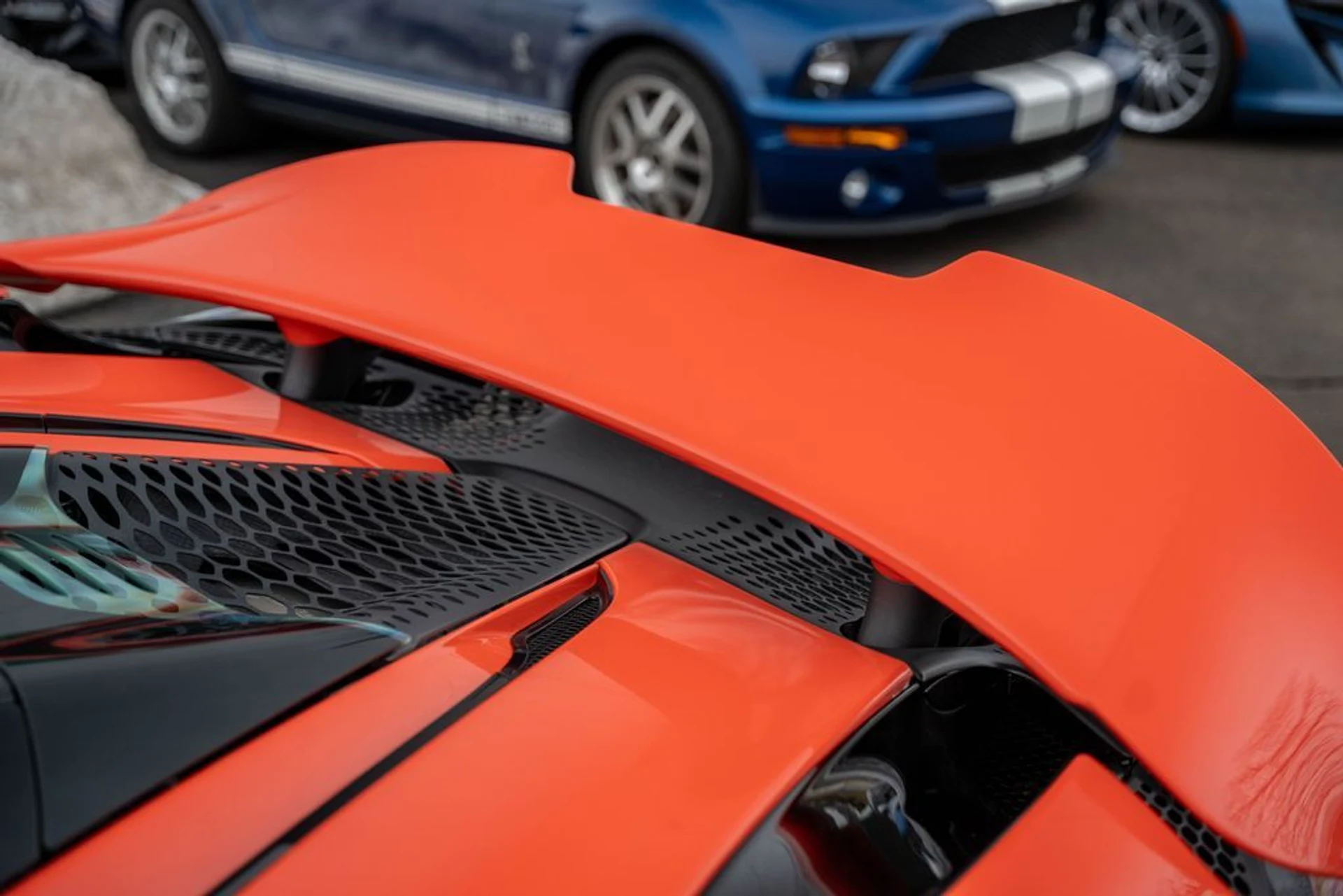 mph032_477649555_5cffbb12_96e4_4635_aeff_d6ee58900b9c_9e657d87c3