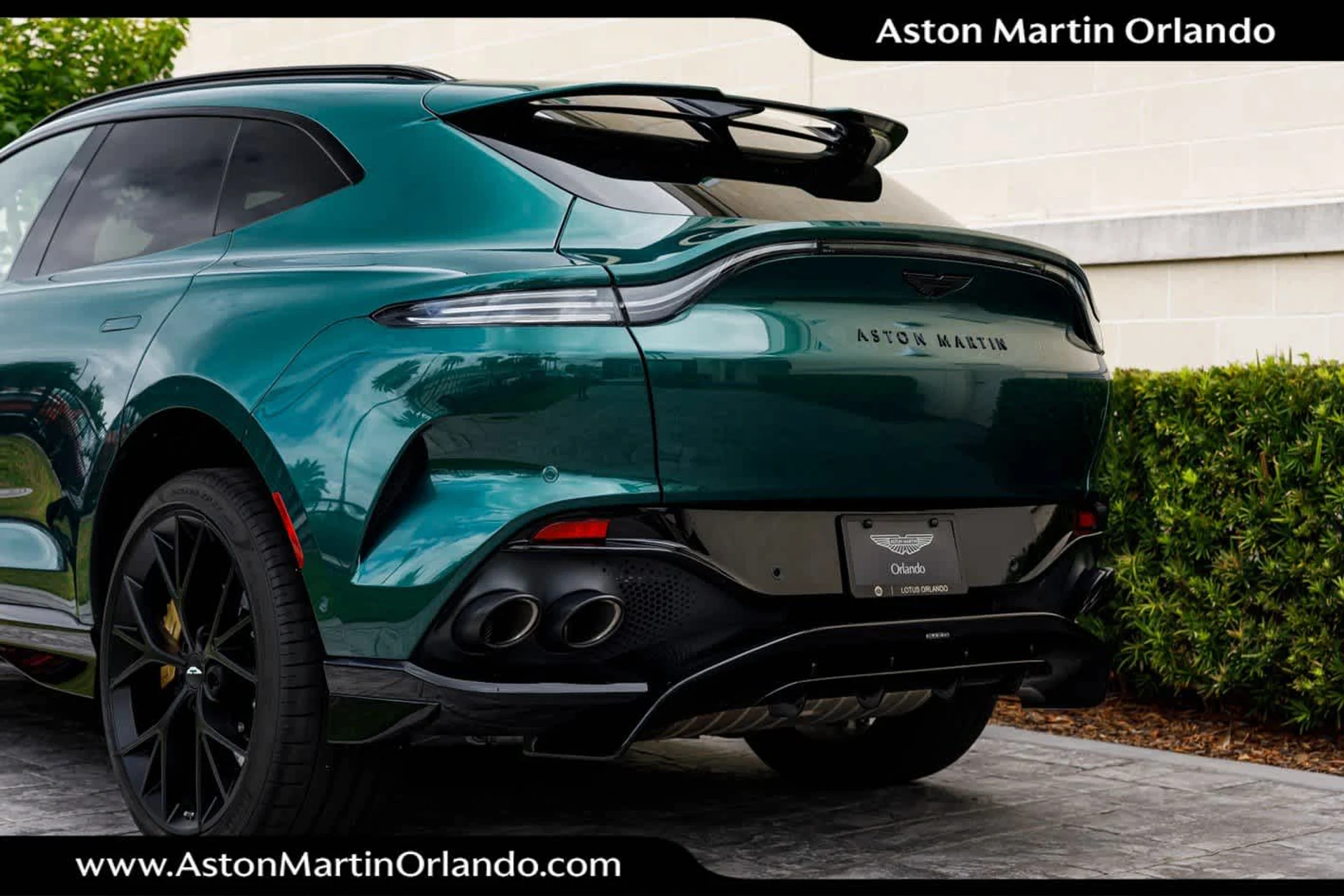 mph032_774558253_33_cb0c69c54f