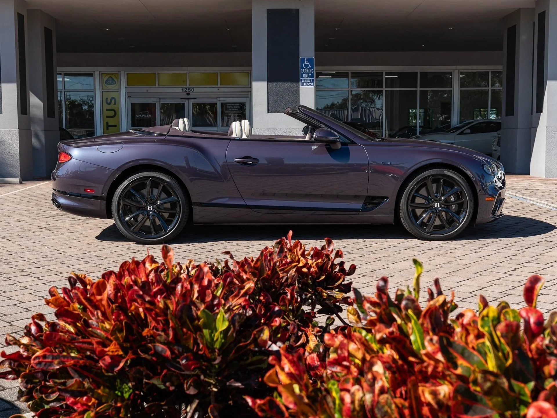 mph032_974933636_Used_2024_Bentley_Continental_GT_V8_1763485678_abb95651bc