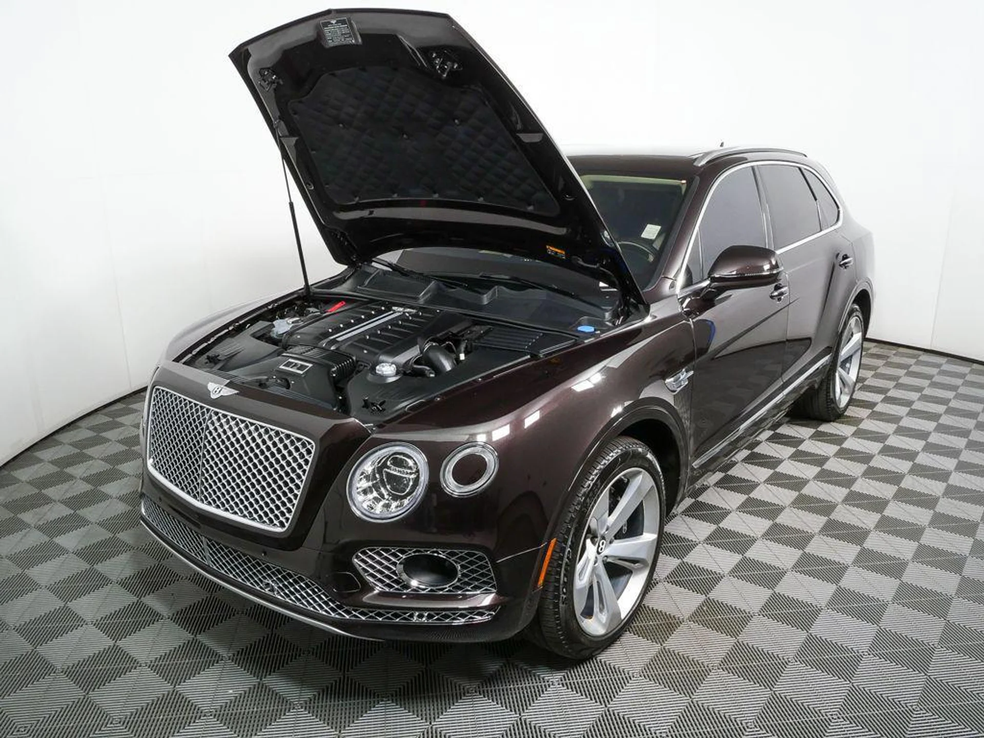 mph033_1361978997_f6_Jp_m_Cd_J_Pcz_Ugd_Rrqf_Y_6_If_U_c7f04c805d