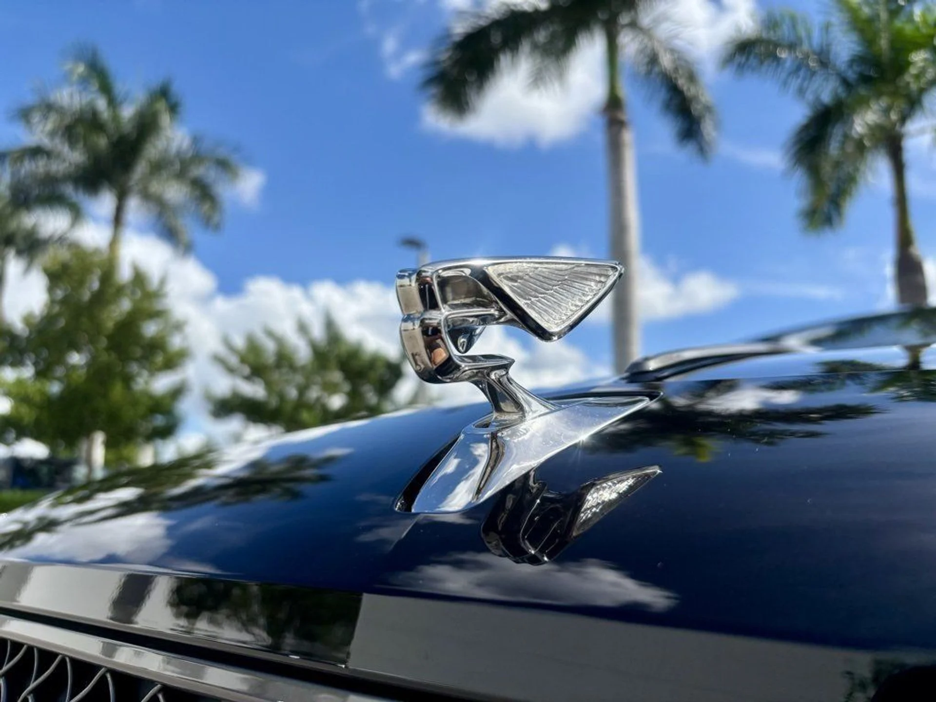 mph033_1712692191_431d03435d22d1362b8261ccc4be8a3c_5480a44569