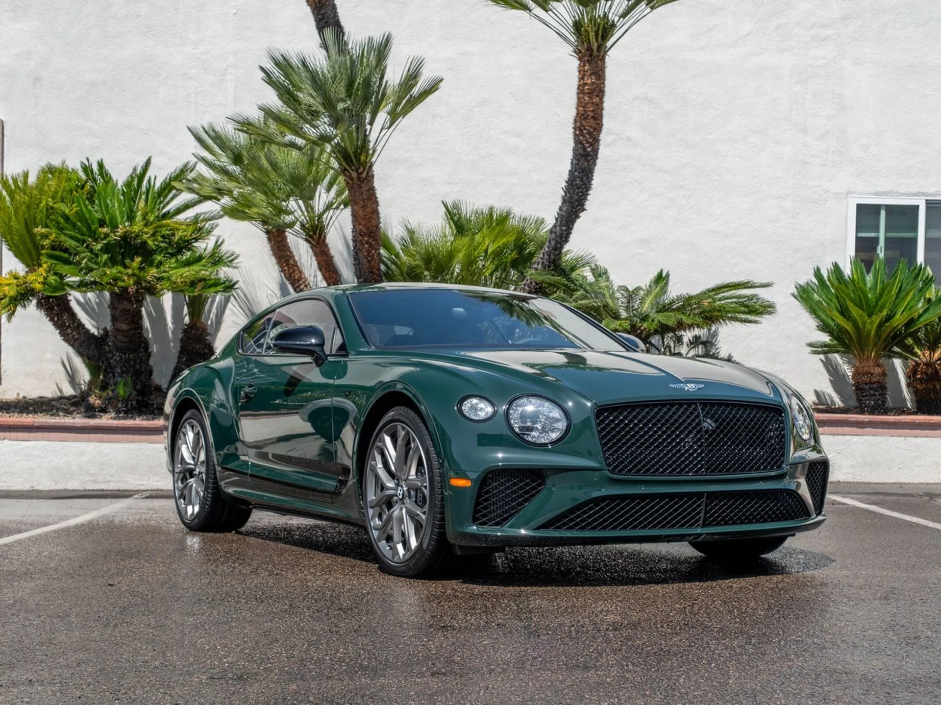 mph033_1877263230_053ffc71948e5d4f4f107ec556b71668x_f132db2599