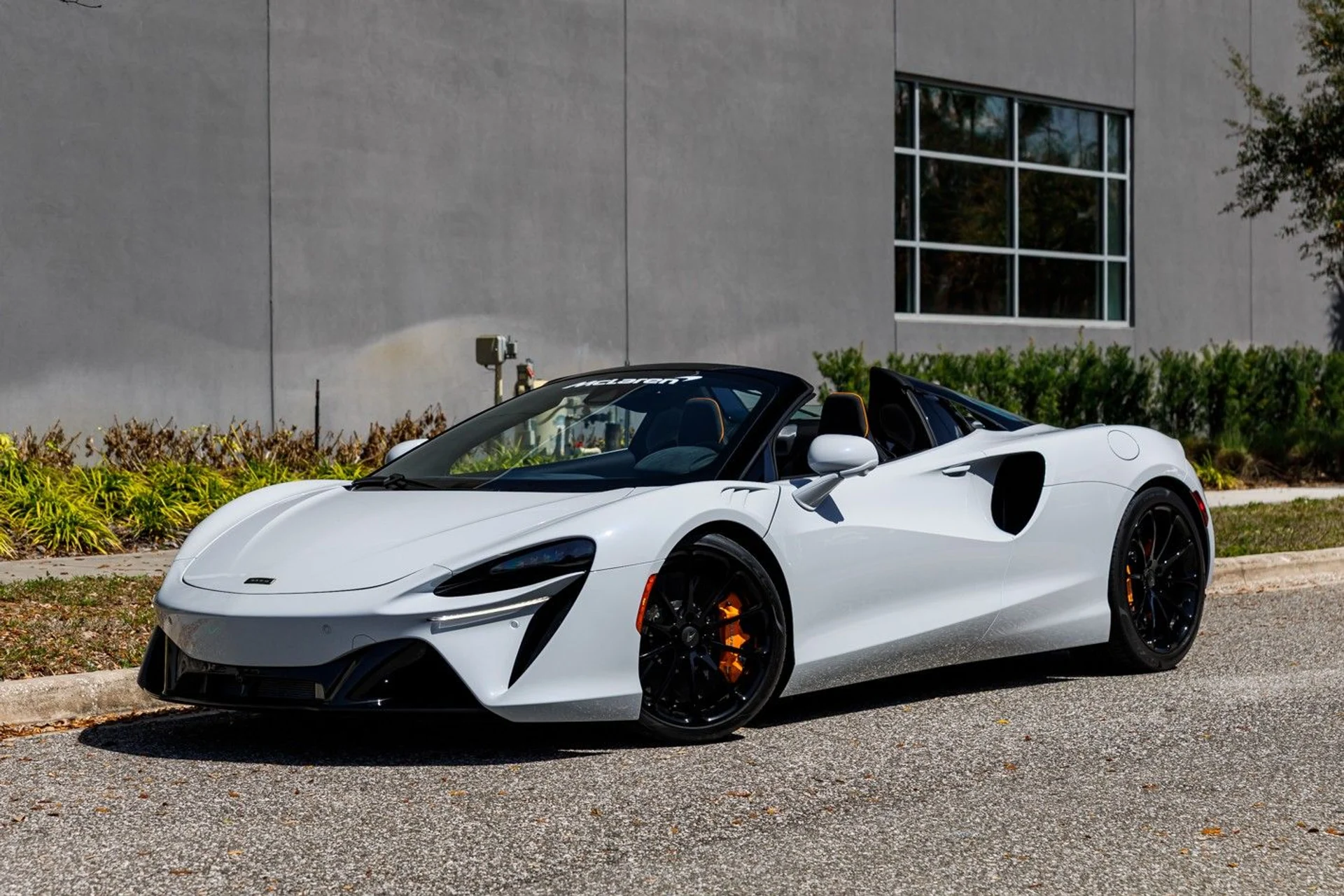 mph033_190049780_473_p34_l_d49b8cb18c