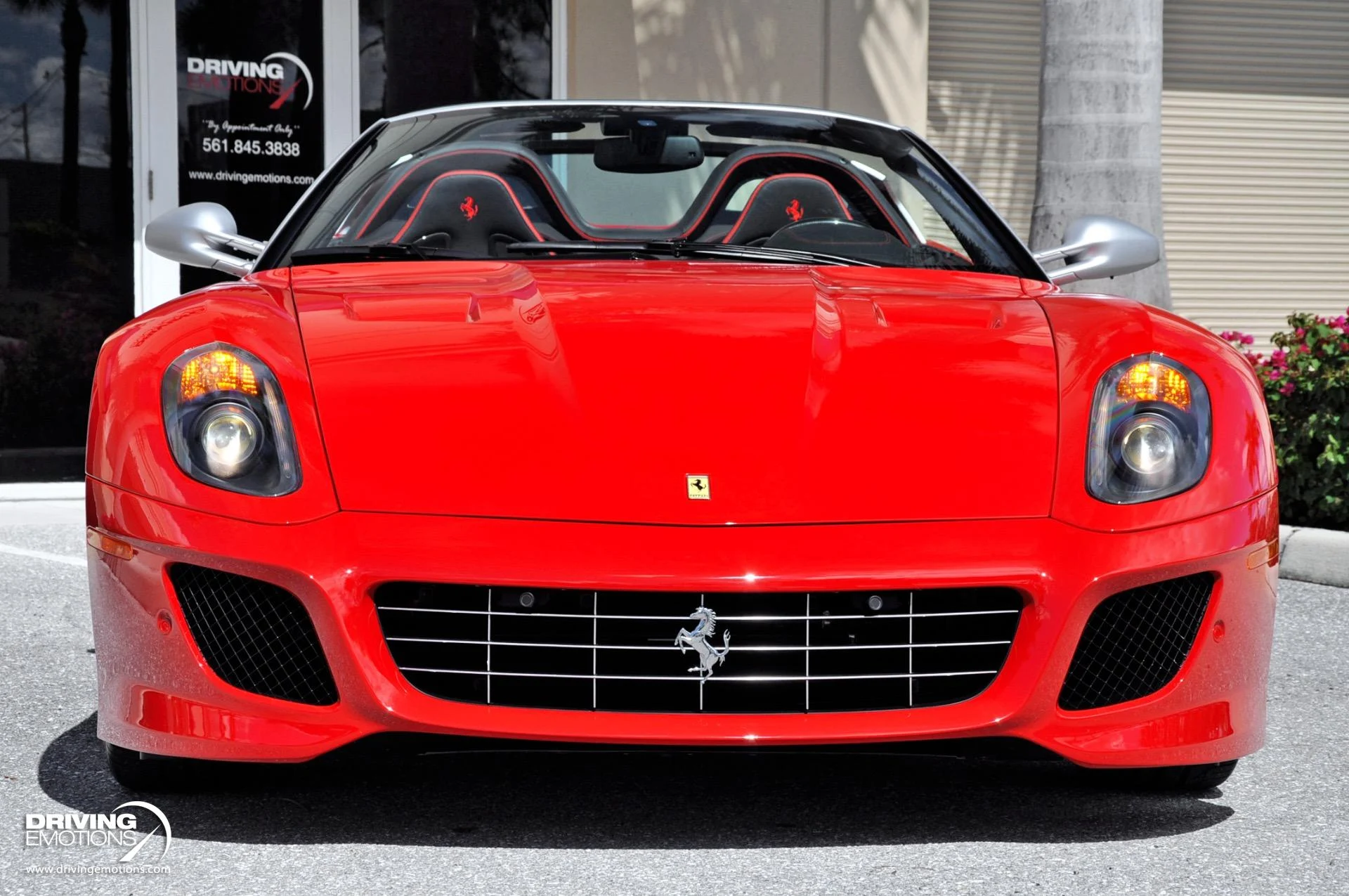 mph033_202953509_438_p34_l_c124d7378c