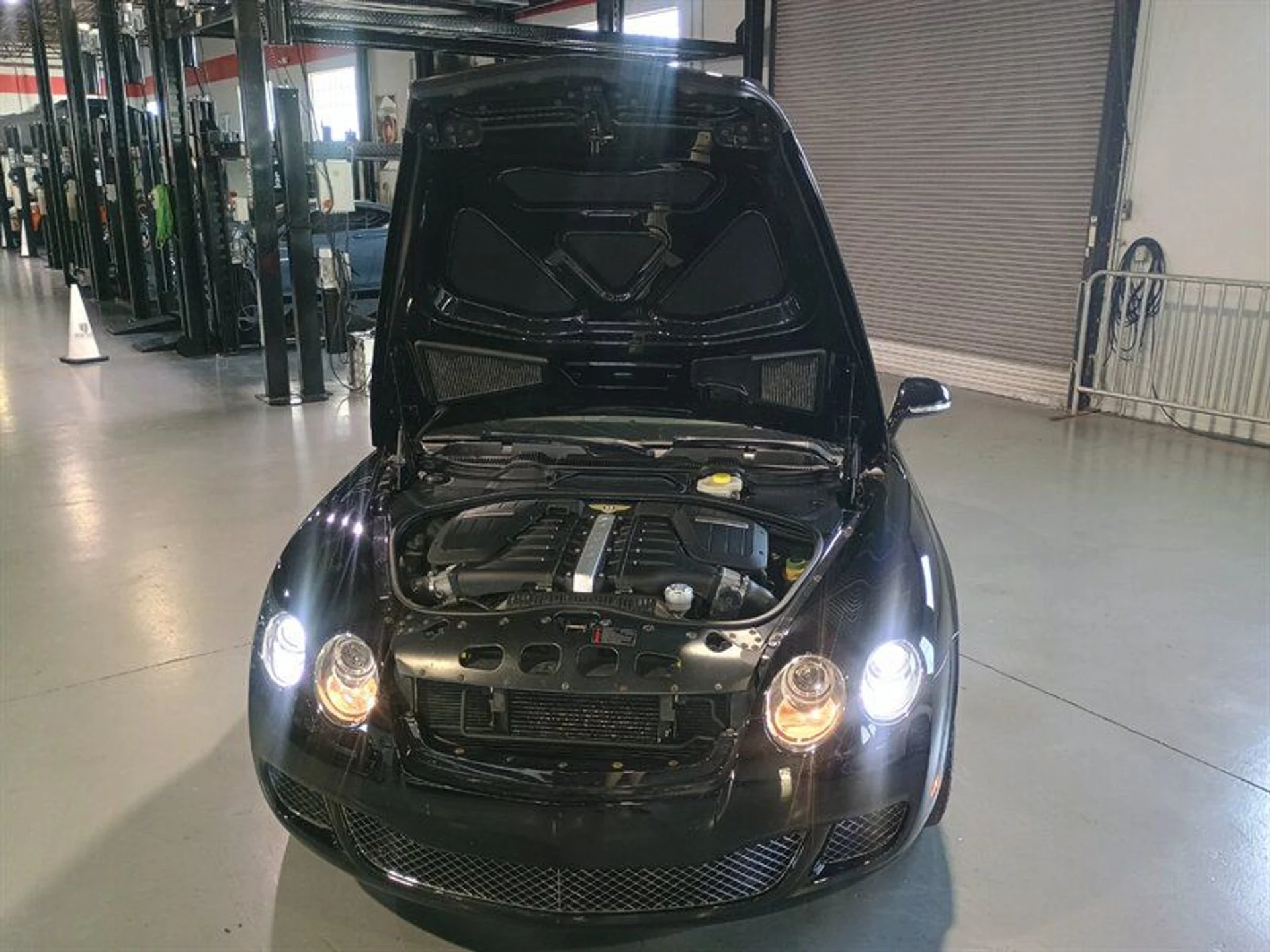 mph033_2093828020_63222cd946_800_a31a2d4e44