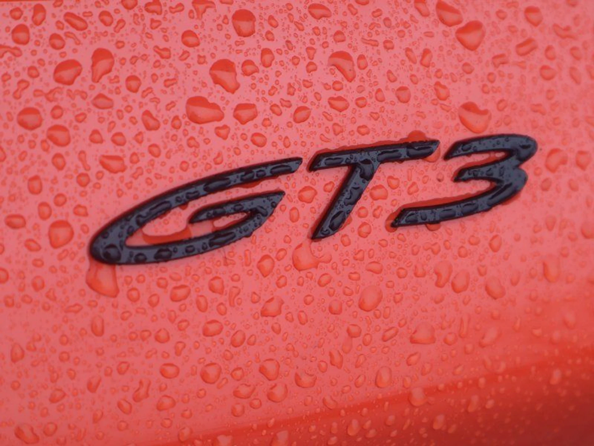 mph033_2191366693_37564554_06585_aaa439d2f7c587d6ee397b521775819e_9ea0fff1ba