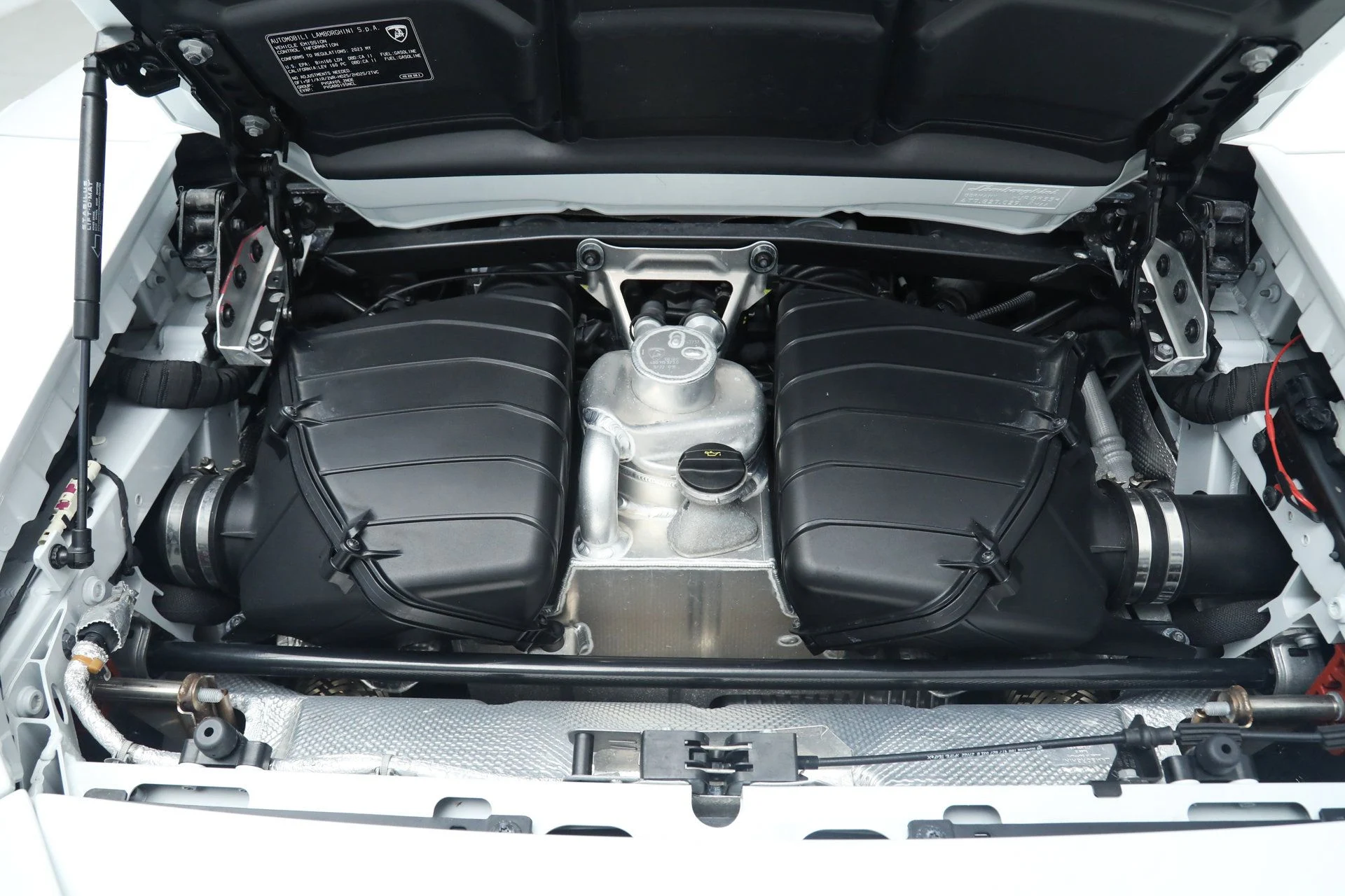 mph033_2422532815_512d0a481436b4425dd6a9aa62b87768_42dc6e87d9