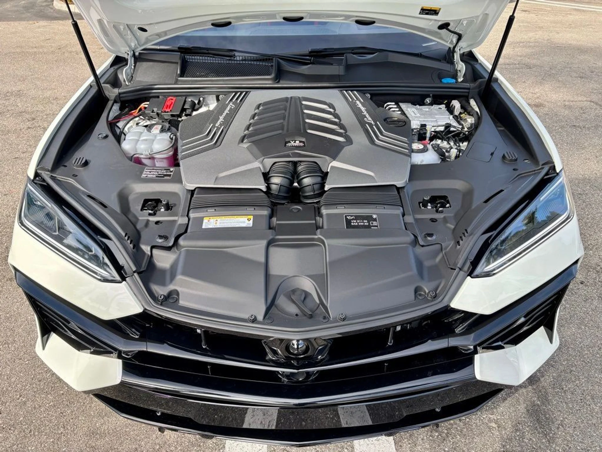 mph033_2474235906_a196b8d6b48f8698950977c59c0c2281_08125e2e7e