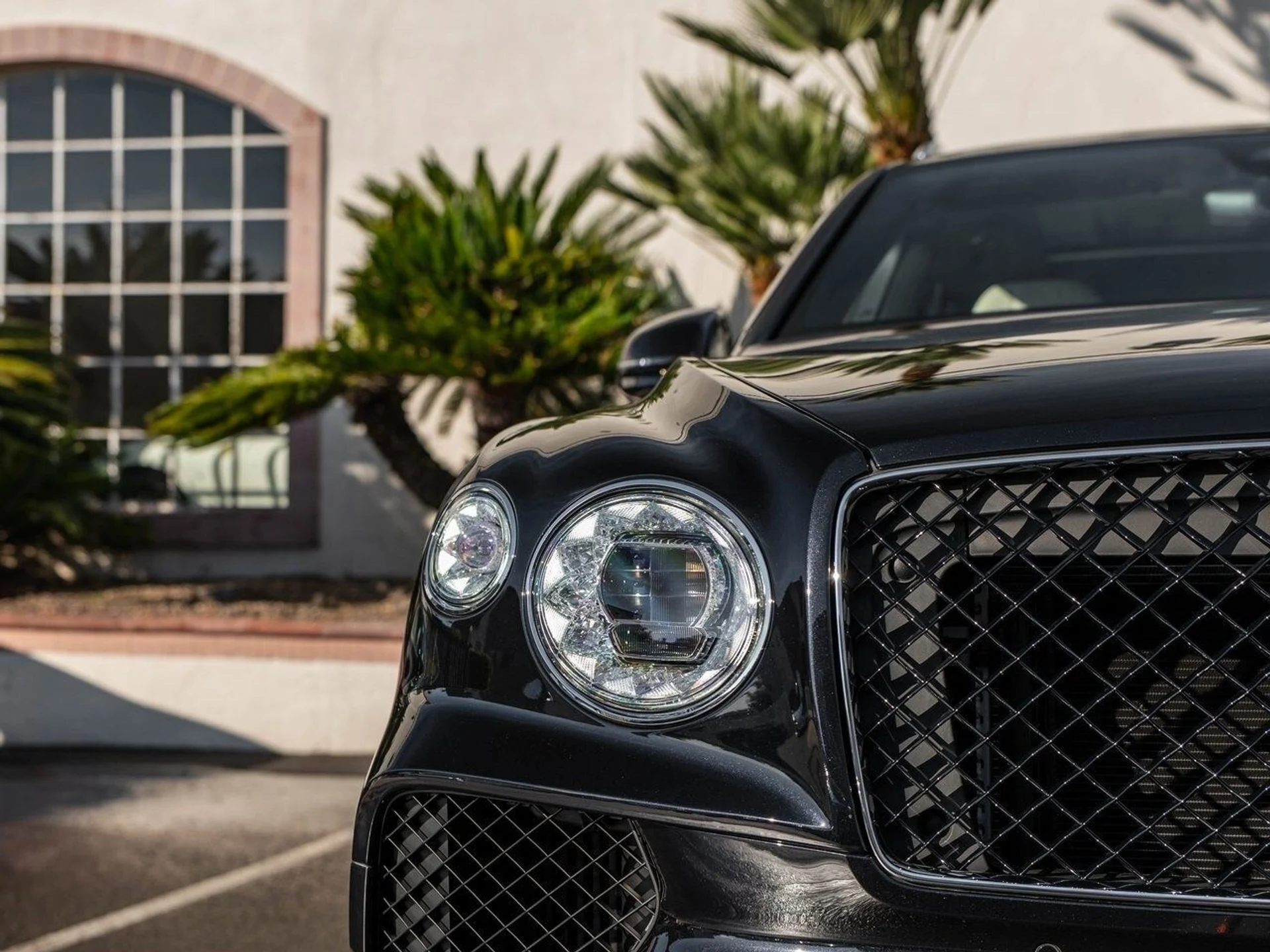 mph033_2743256992_76b86238ef8cef6ce7935480a1148c42x_50381e7be0