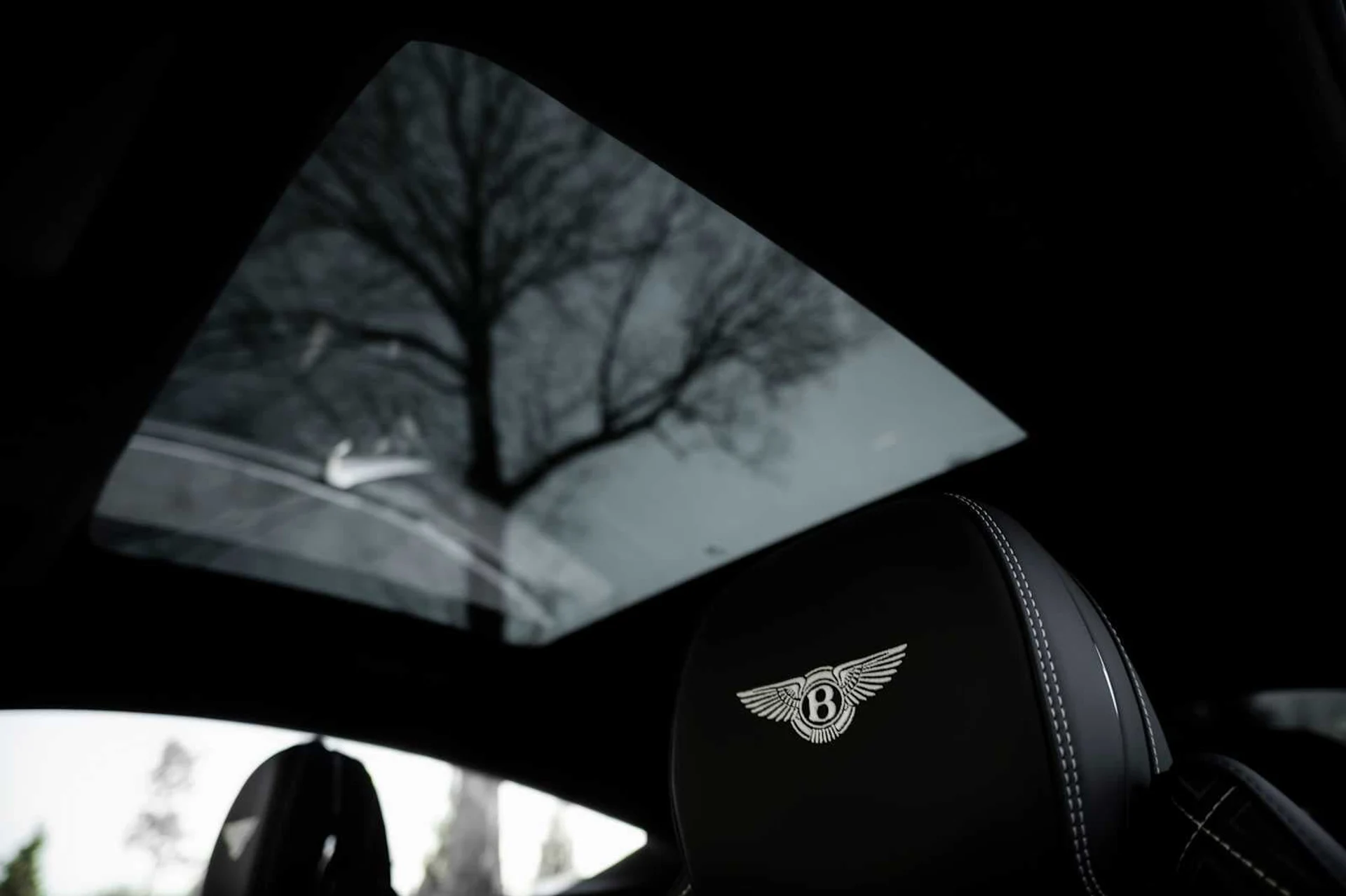 mph033_2995479013_d671feec7bbe2dfe161e61637346709dx_2451409653