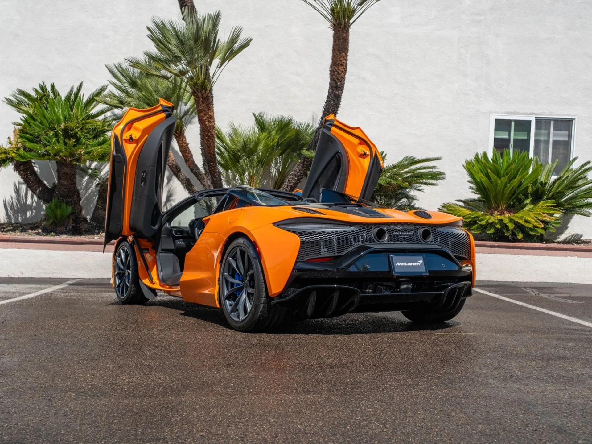 mph033_3010840581_94961a58c0b18f10f33281d9117e04acx_dda78ccc54