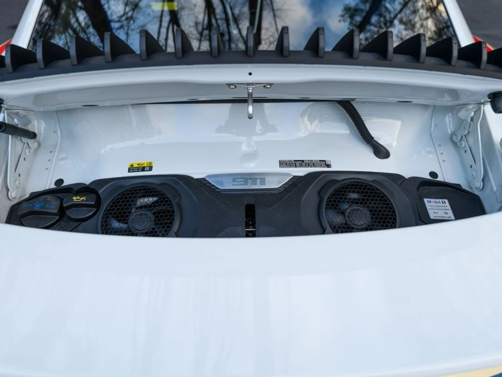 mph033_3076011768_759c8b28_a112_4578_86fc_5cb0646c9c62_635fd4058b