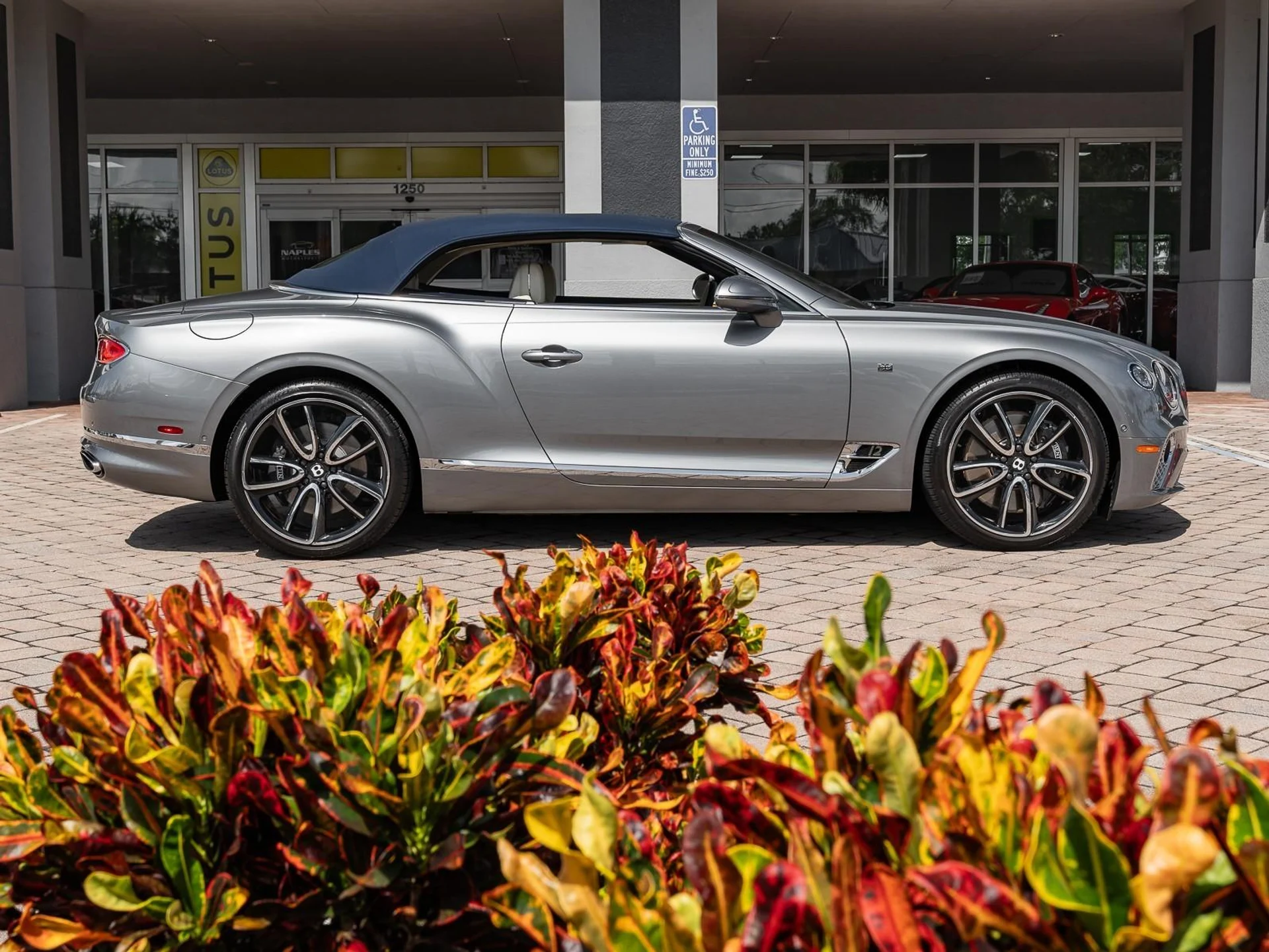 mph033_3324675587_Used_2020_Bentley_Continental_GTC_GT_1756498129_0e317ca05b