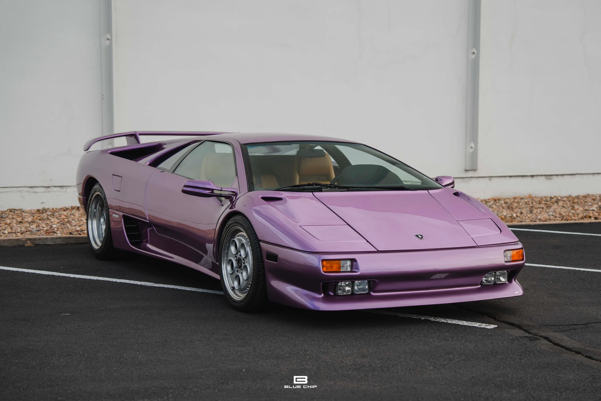 mph033_3726339584_68965dd41fe63b7171d50ebb_DSC_02049_eded0b54ac