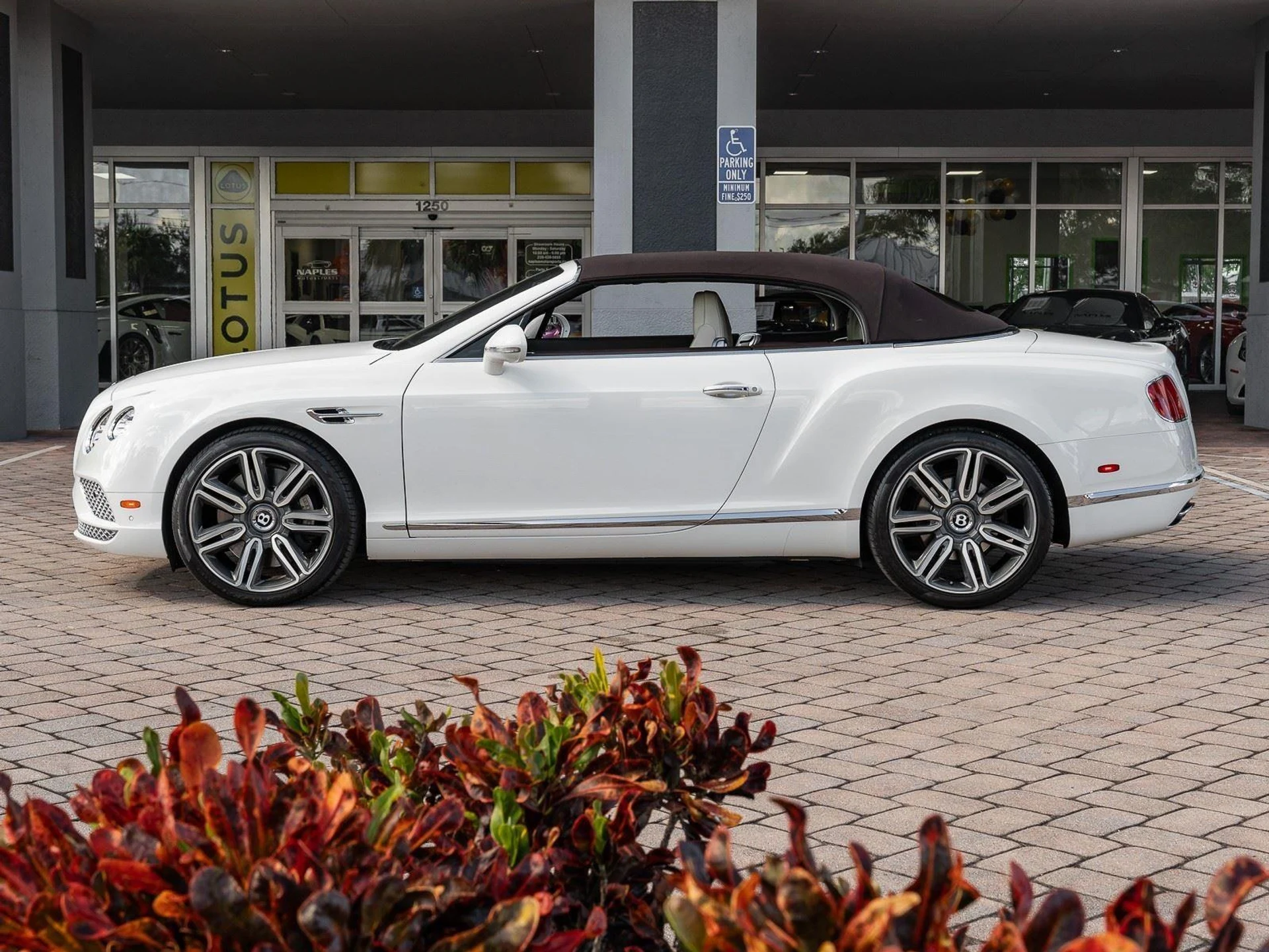 mph033_3797236971_Used_2018_Bentley_Continental_GT_1767952848_ced7967160