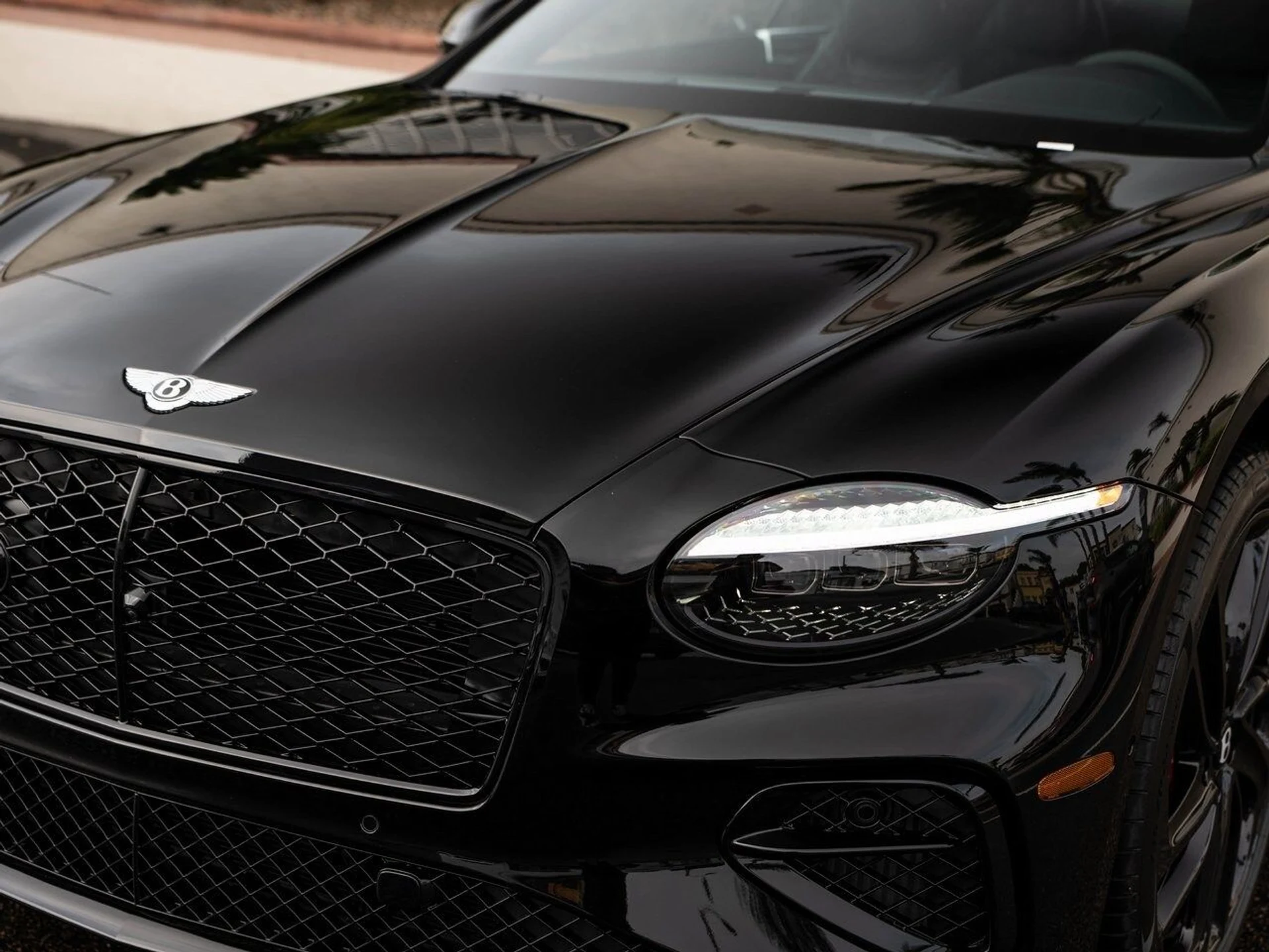 mph033_3833704695_ddc33483b19d360e86c042667c4d4cccx_2b34003e54