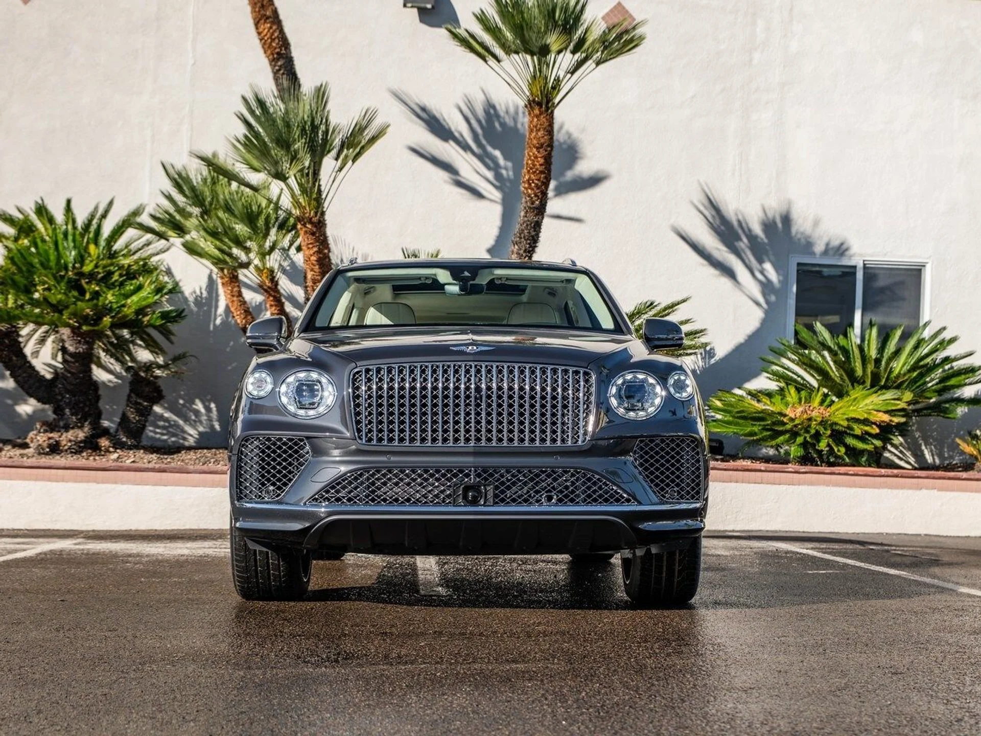 mph033_3877123904_50956d379f18db60ead3e323c43c4b42x_43f742bfff