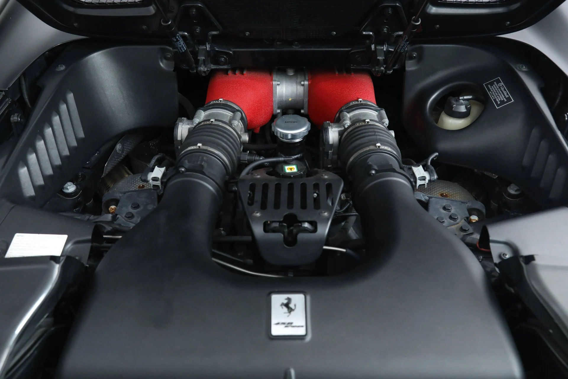 mph033_3949703471_161de92e3229152263f93e0f95755be6_5c47ce4431