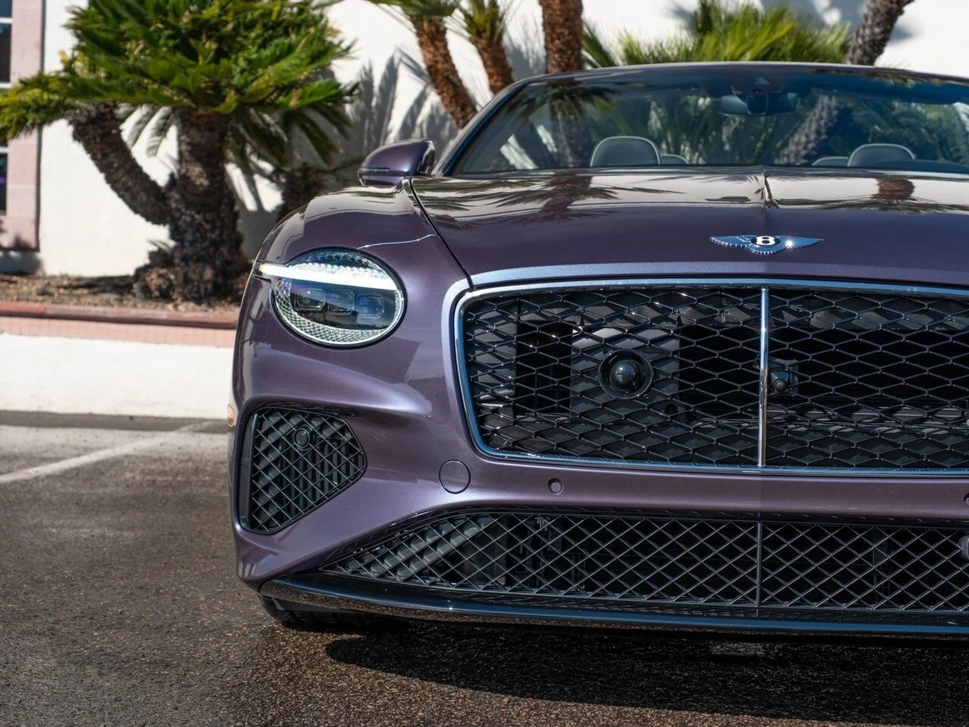 mph033_4019656475_a88fd011fb1133fd0d05352ee78af45dx_85a5b24cf2