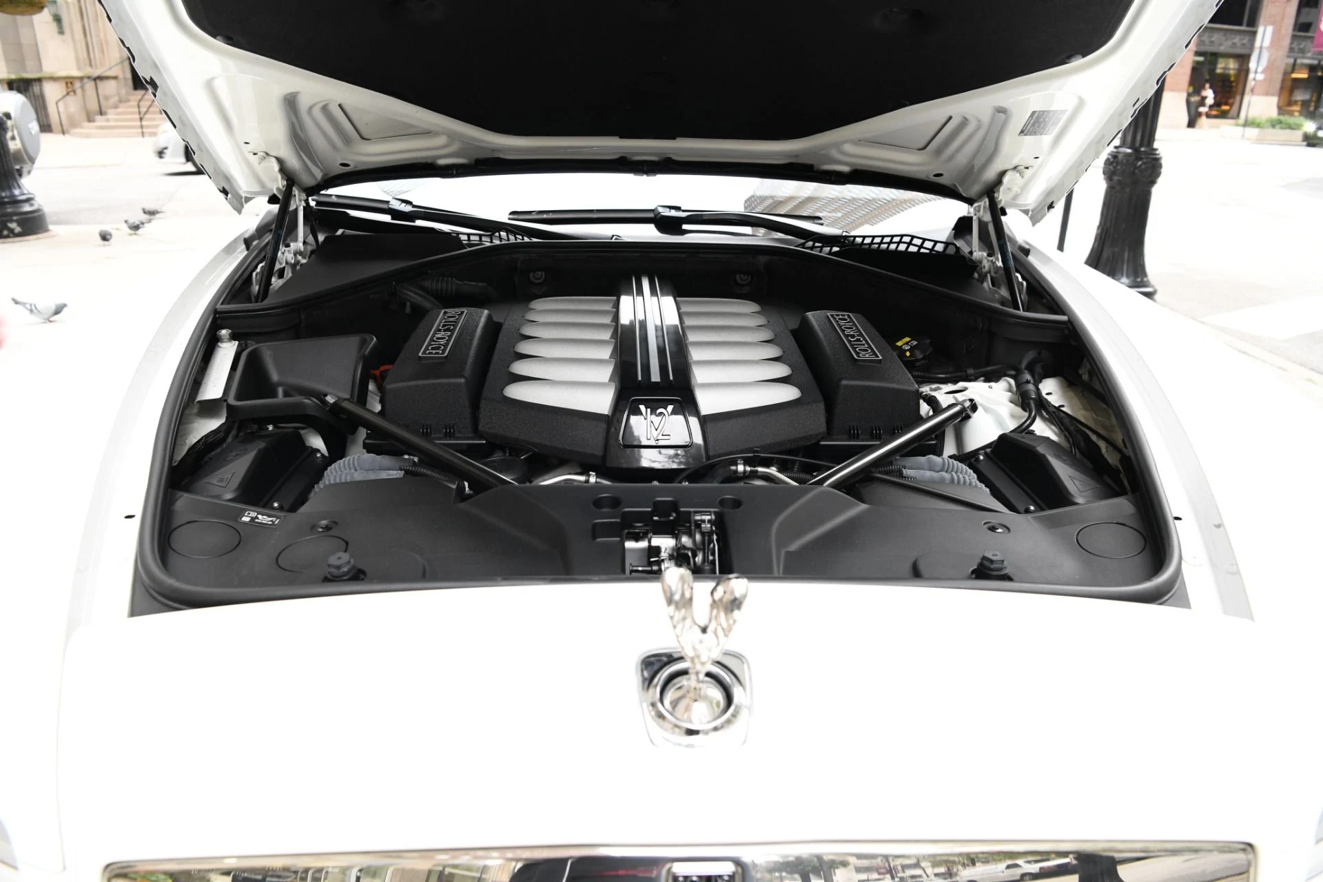 mph033_408640246_9708_p35_l_43281ca3b0