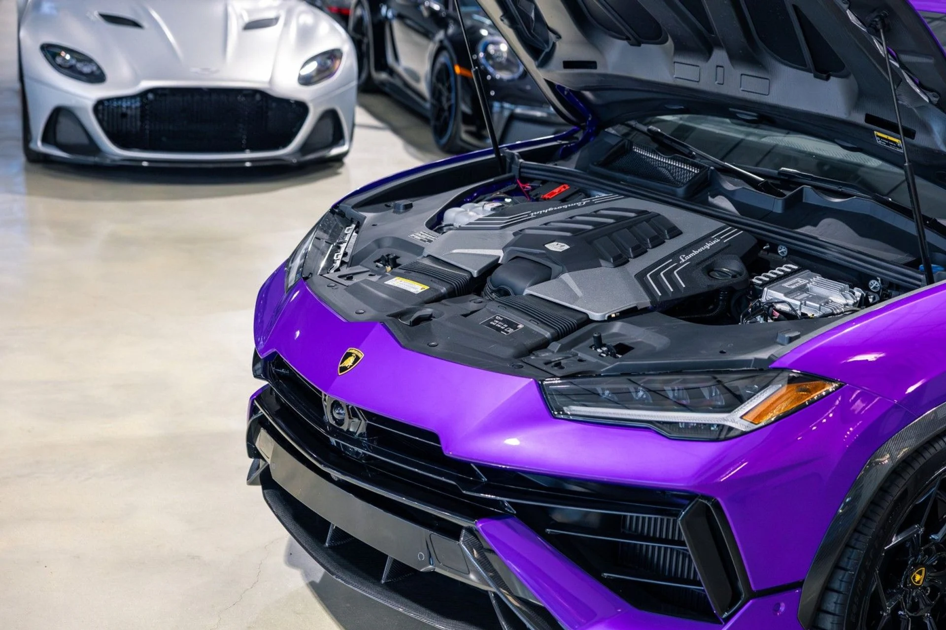 mph033_4187689396_Uw_c9e190f2ce