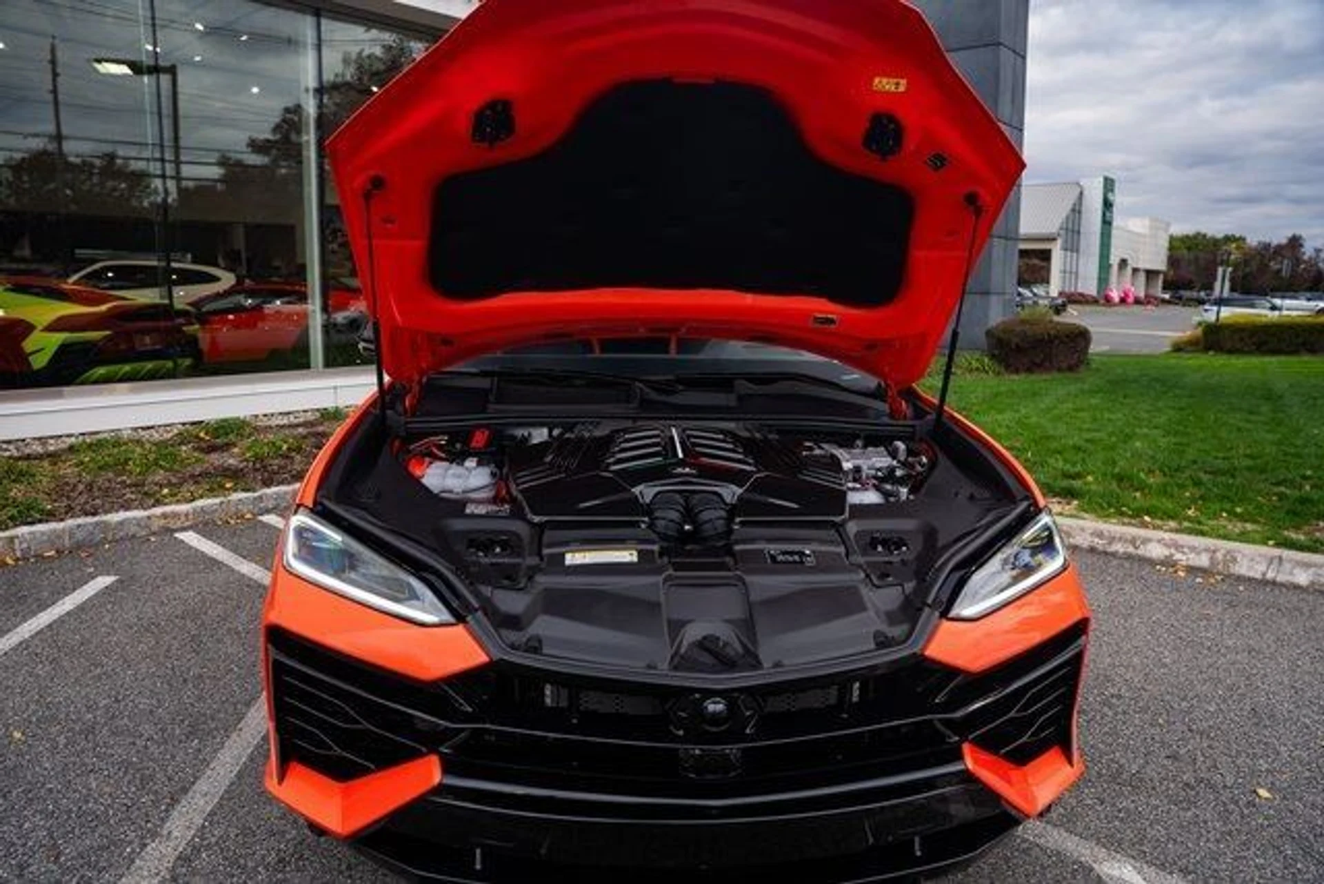 mph033_4220439896_cfebff15a647df1373e86a24d706be10_38cab78256