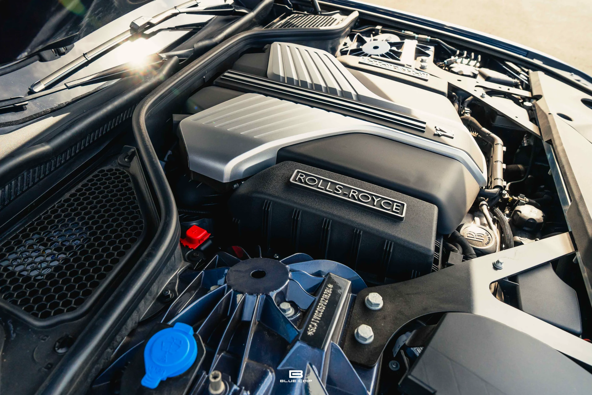 mph033_542055813_688b80a4ec1bfd2709efec02_DSC_09463_f6fe524e8d