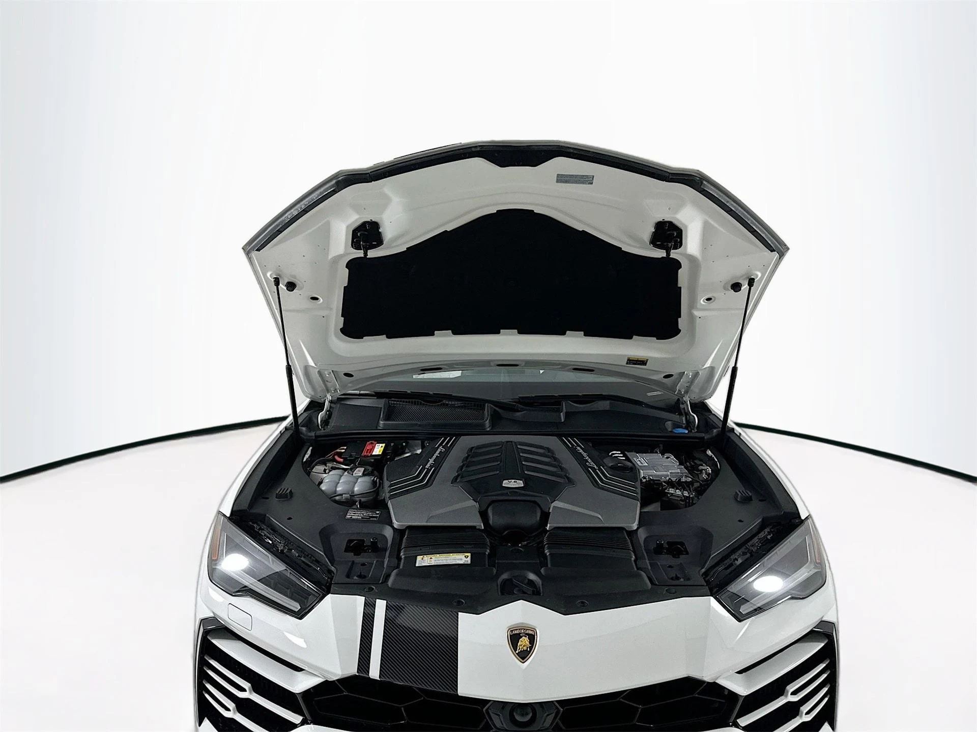 mph033_567979799_c653e07ce4f76dbfa0494354fbc56aaex_d9a70d506e