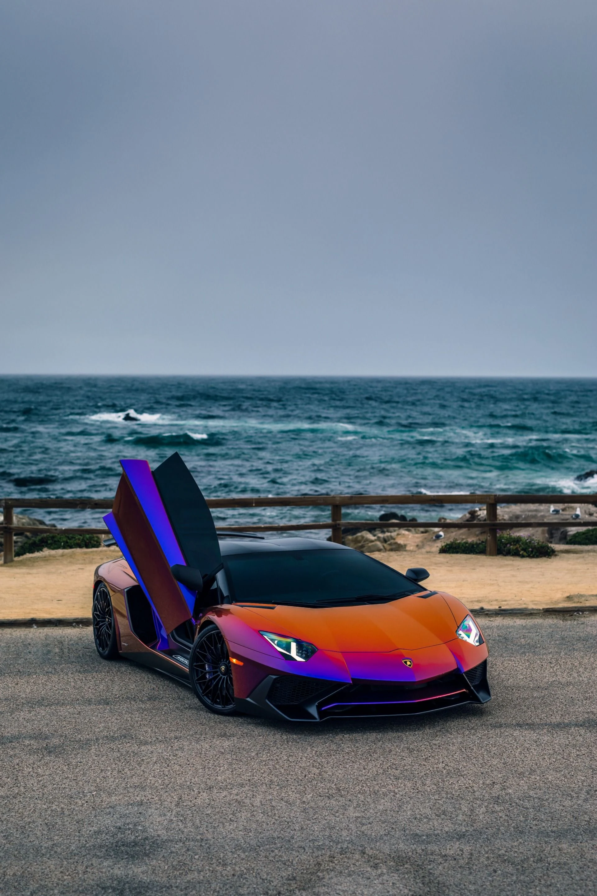 mph033_665567260_8742_p34_l_ba0df6fd48