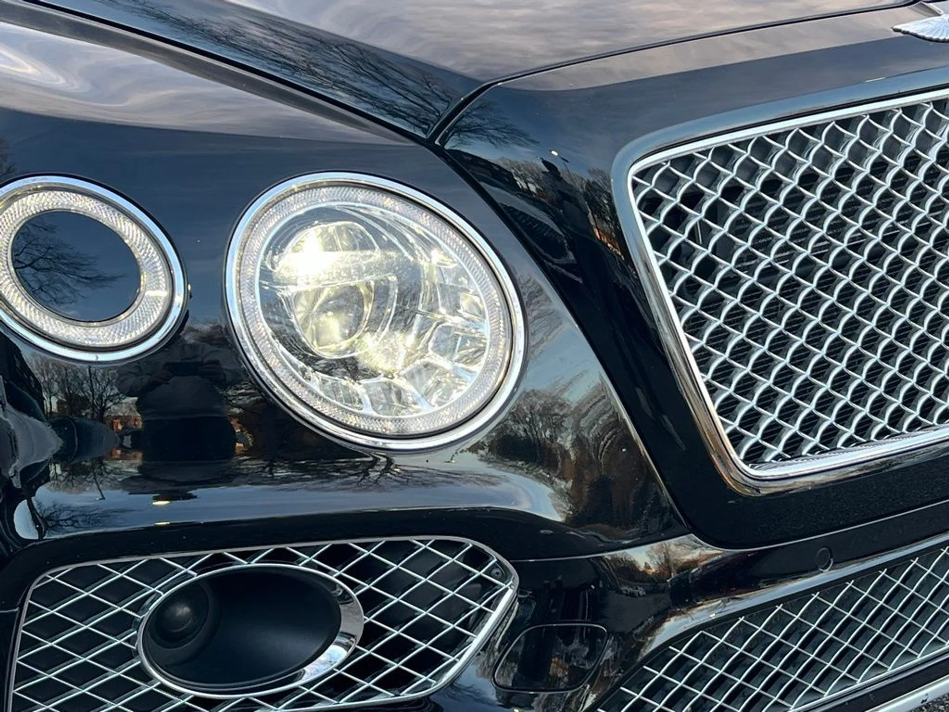 mph033_689792959_5954a4ac7841a0fbdd26f4d4e2433833x_1c76008877