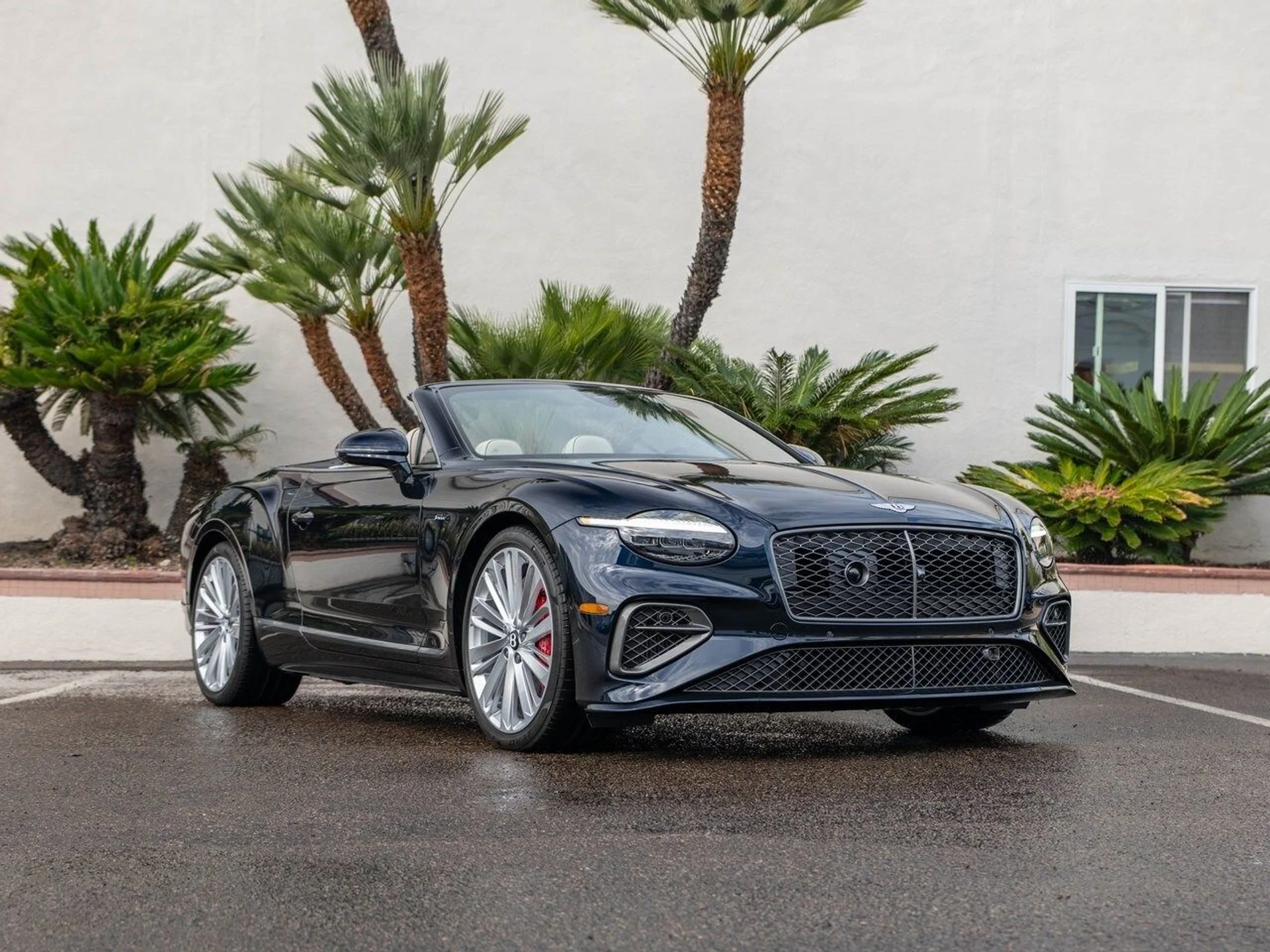 mph033_735982905_026a8568e09a410617d37fcb3de40385x_dc65d6d6a0