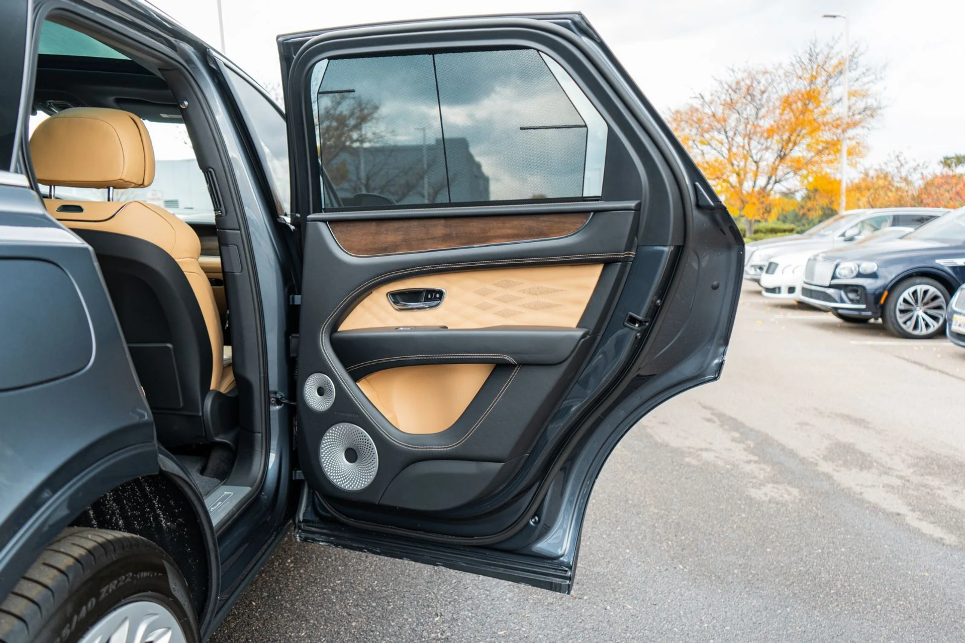 mph033_770799760_df4bbf7f_d3cc_4ddc_97d0_c1ab64ed03ee_55236dcdfd