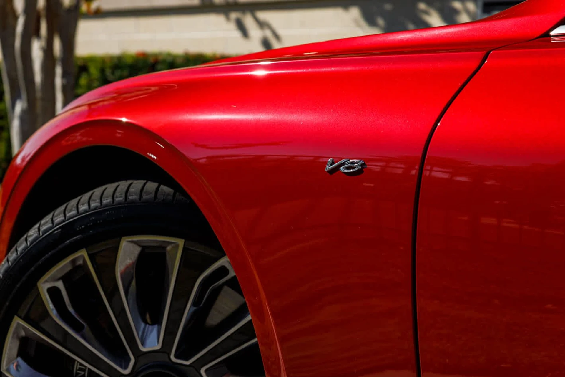 mph033_779705830_34_369f0d2079