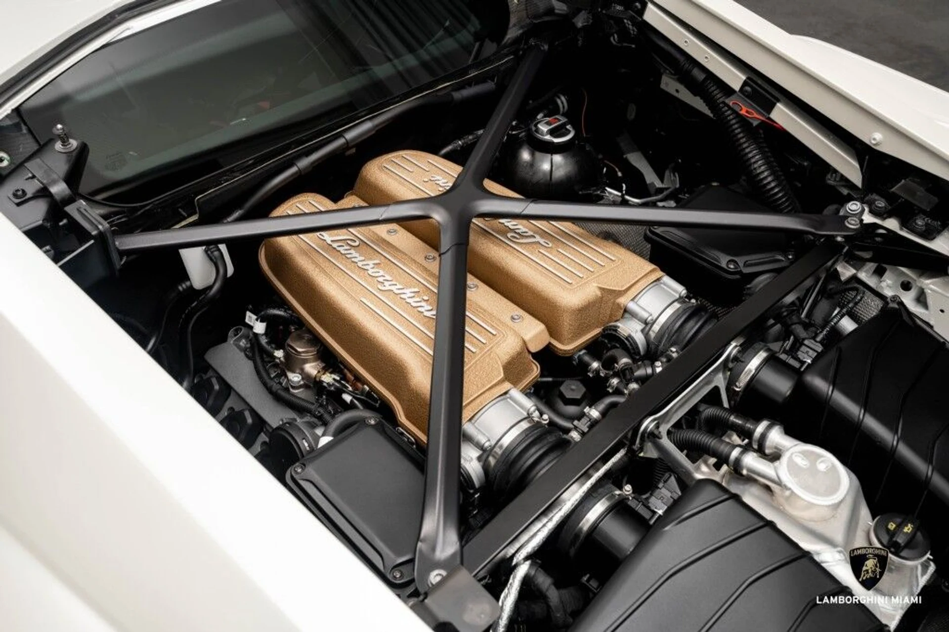 mph034_1622055449_fddb73dc5851899fb498425324b61042_f3c29645b3