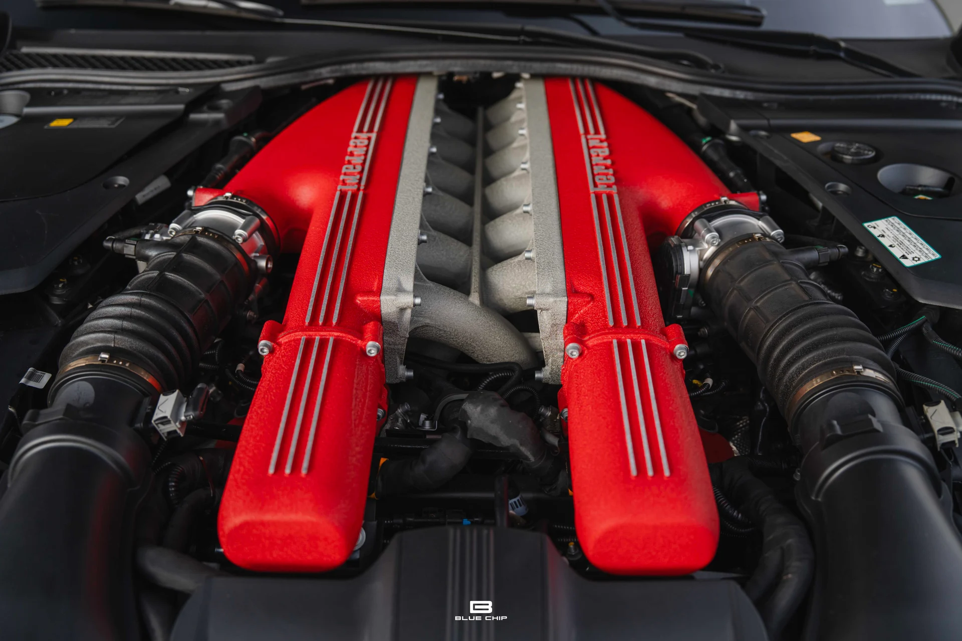 mph034_1913098067_693af98684b0d87473ef0a11_DSC_04979_cc8e666812