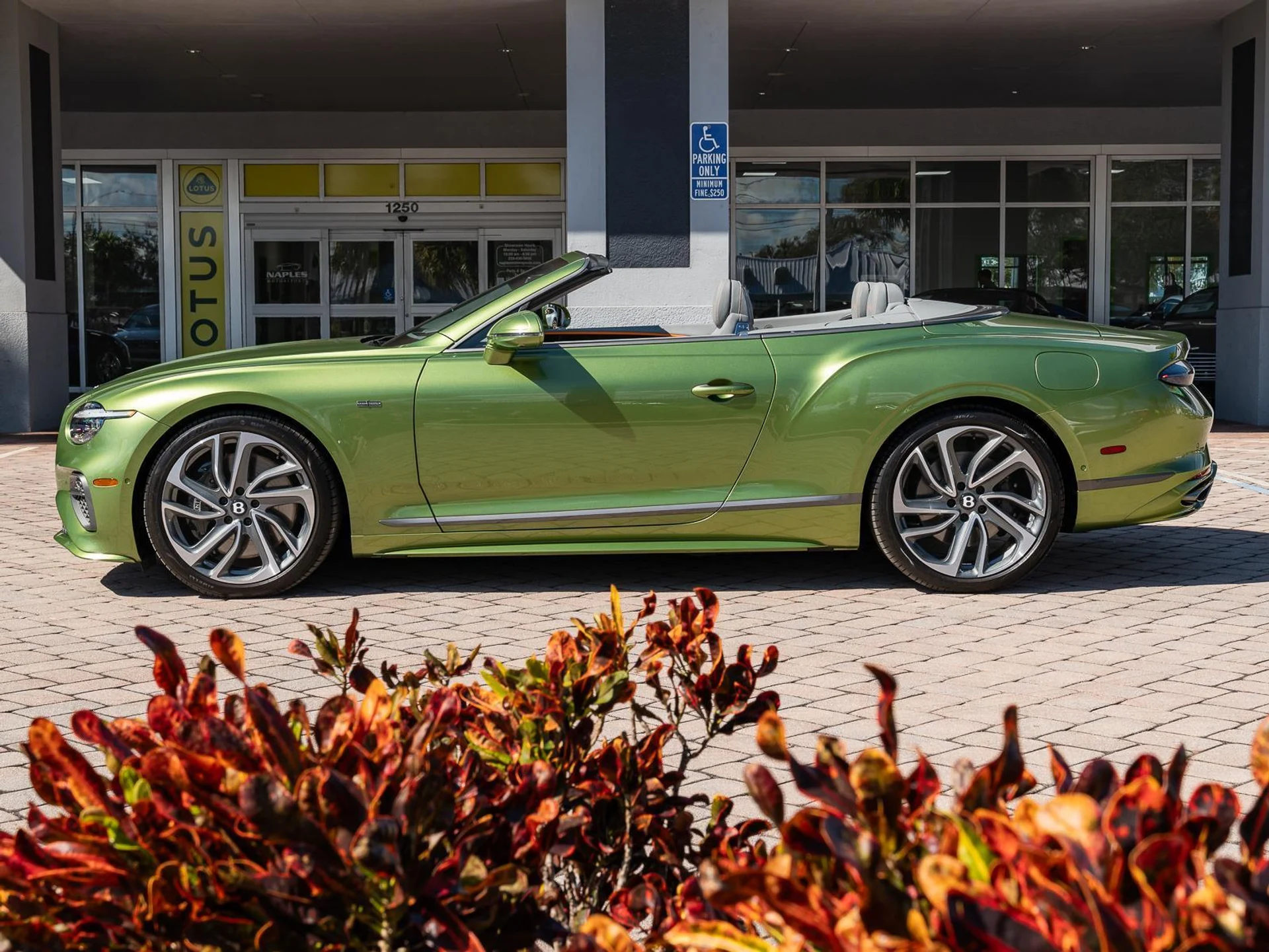 mph034_2043857201_Used_2025_Bentley_Continental_GT_Speed_1770806128_57c19d241a