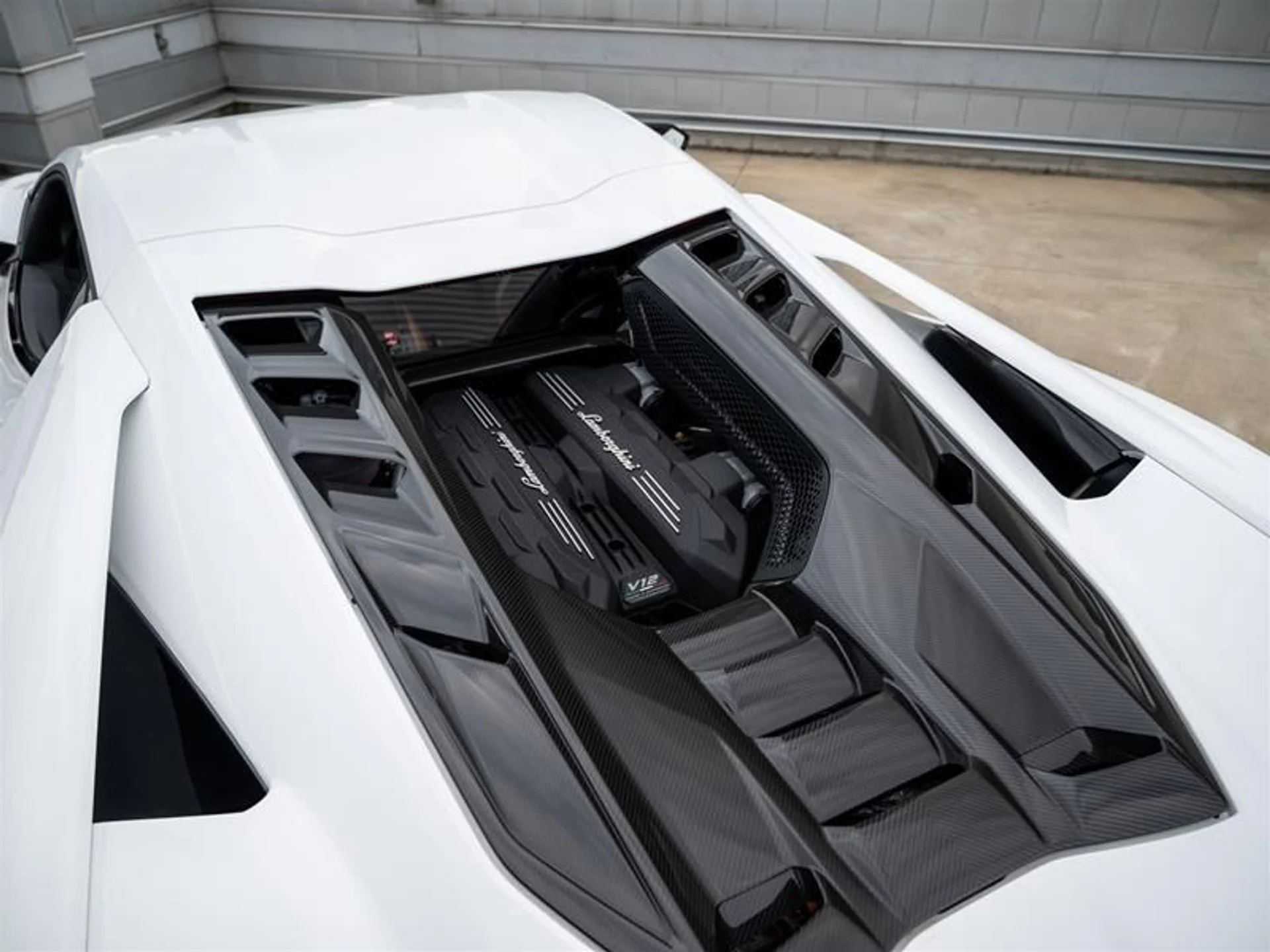 mph034_2146513968_o5wd2gzj_4bbddea0b3