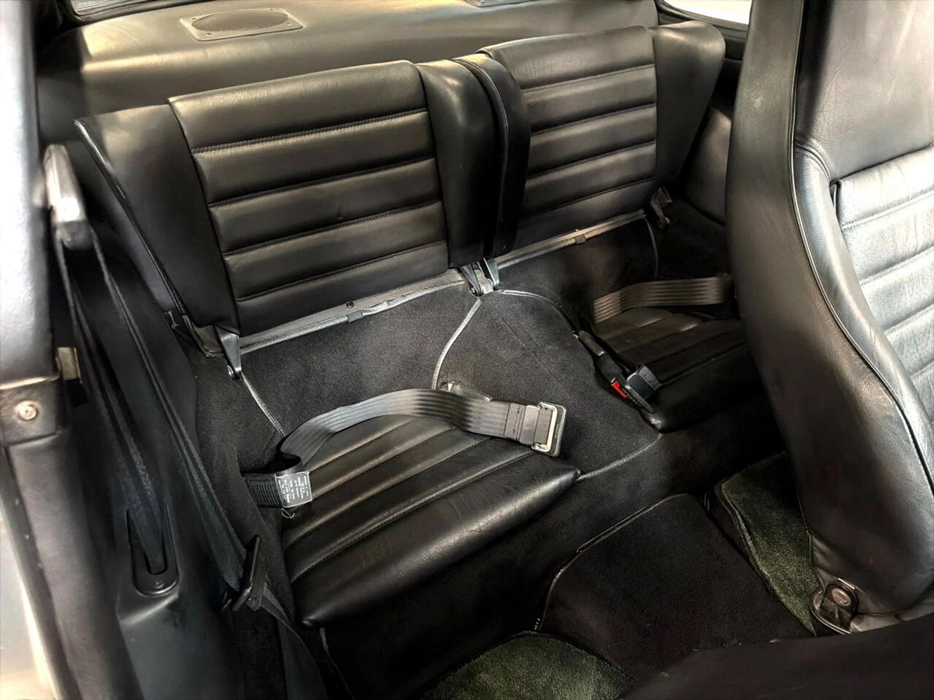 mph034_2314401864_639016616955168257_743fc6d746