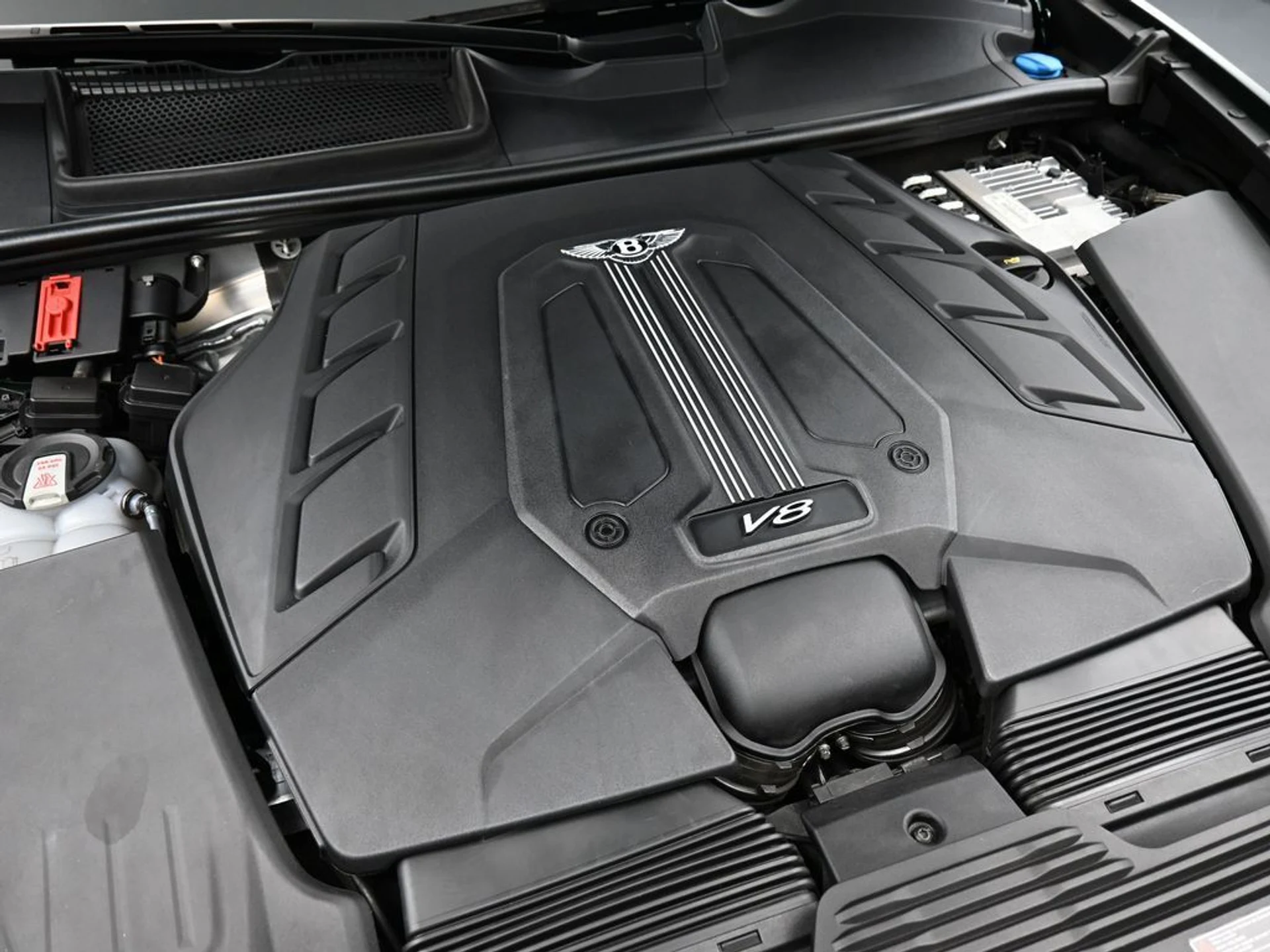 mph034_2321115262_86e8d178_63df_479f_a6bd_75636b1c3975_91127e8e6c