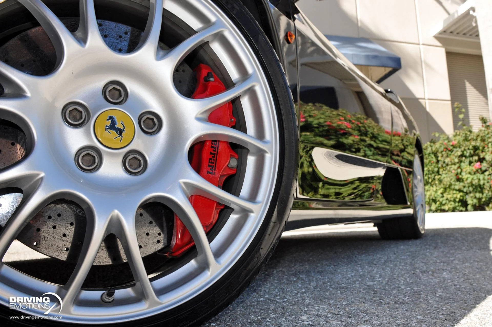 mph034_2665689549_885_p35_l_a38115fbeb