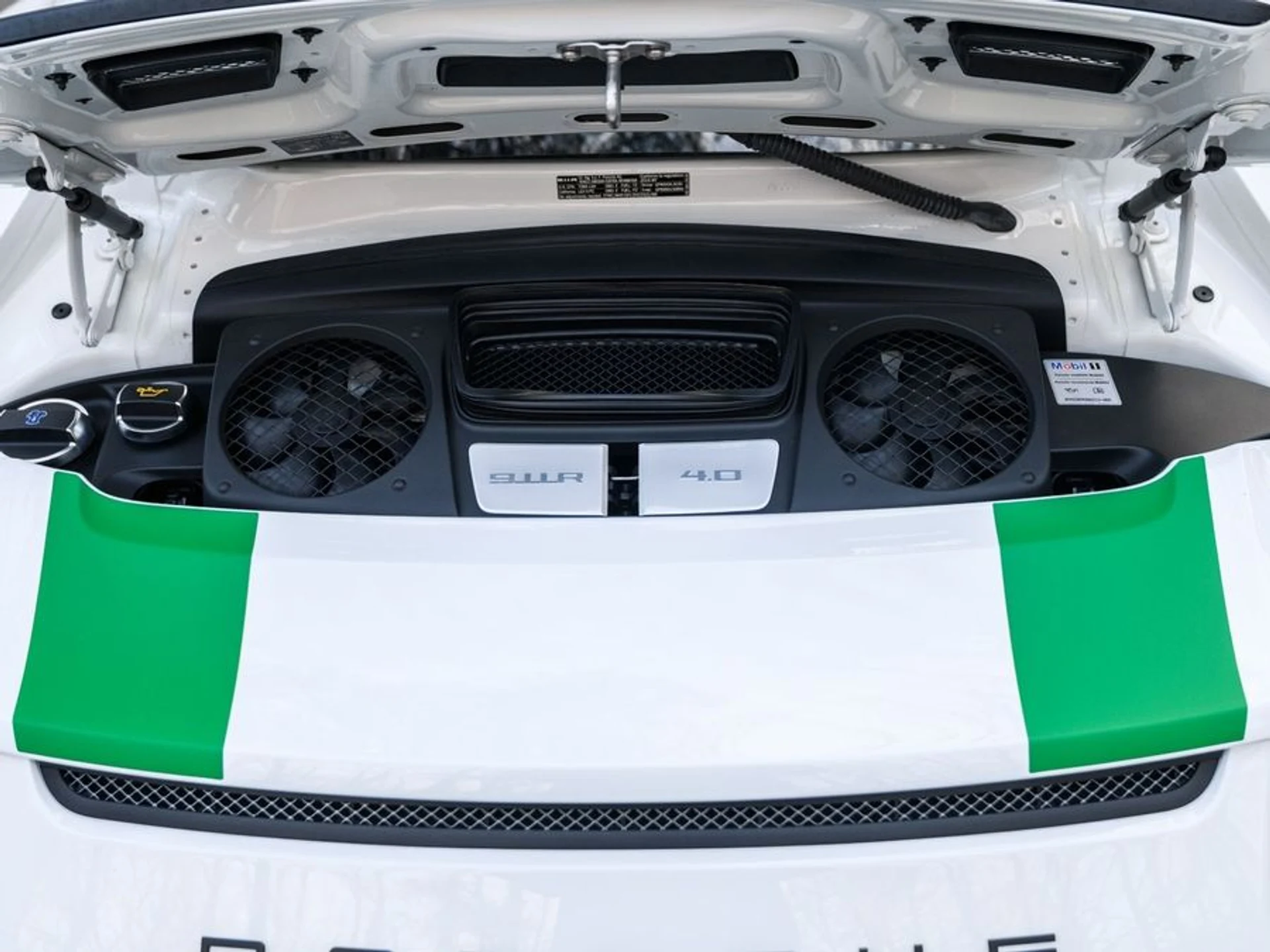 mph034_2928376903_fe20d7d3_8916_4d02_9954_a08a4f62599a_eba94d751e