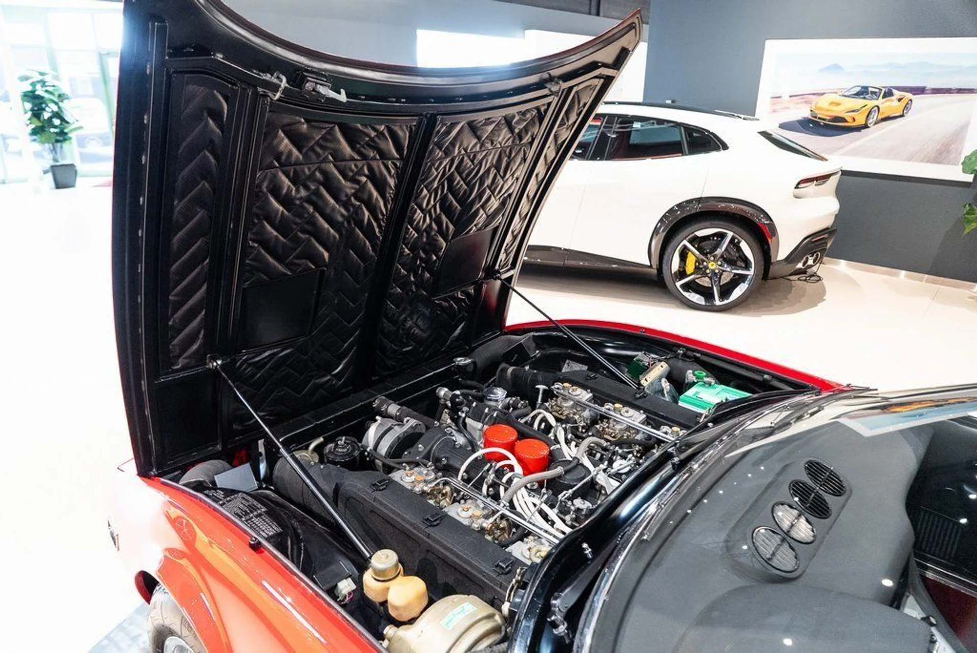 mph034_2940039459_af42fbadbe10ff7bcaacf9807c46680c_4a3a68e060